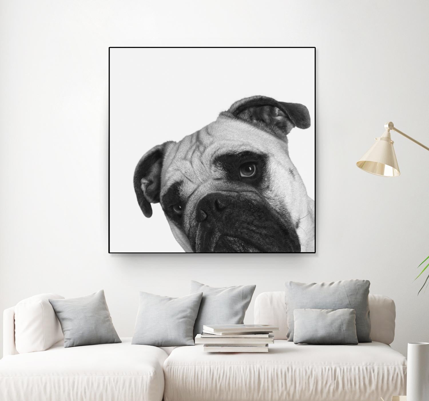 Qué Pasa? by Jon Bertelli on GIANT ART - multicolor animals; photography