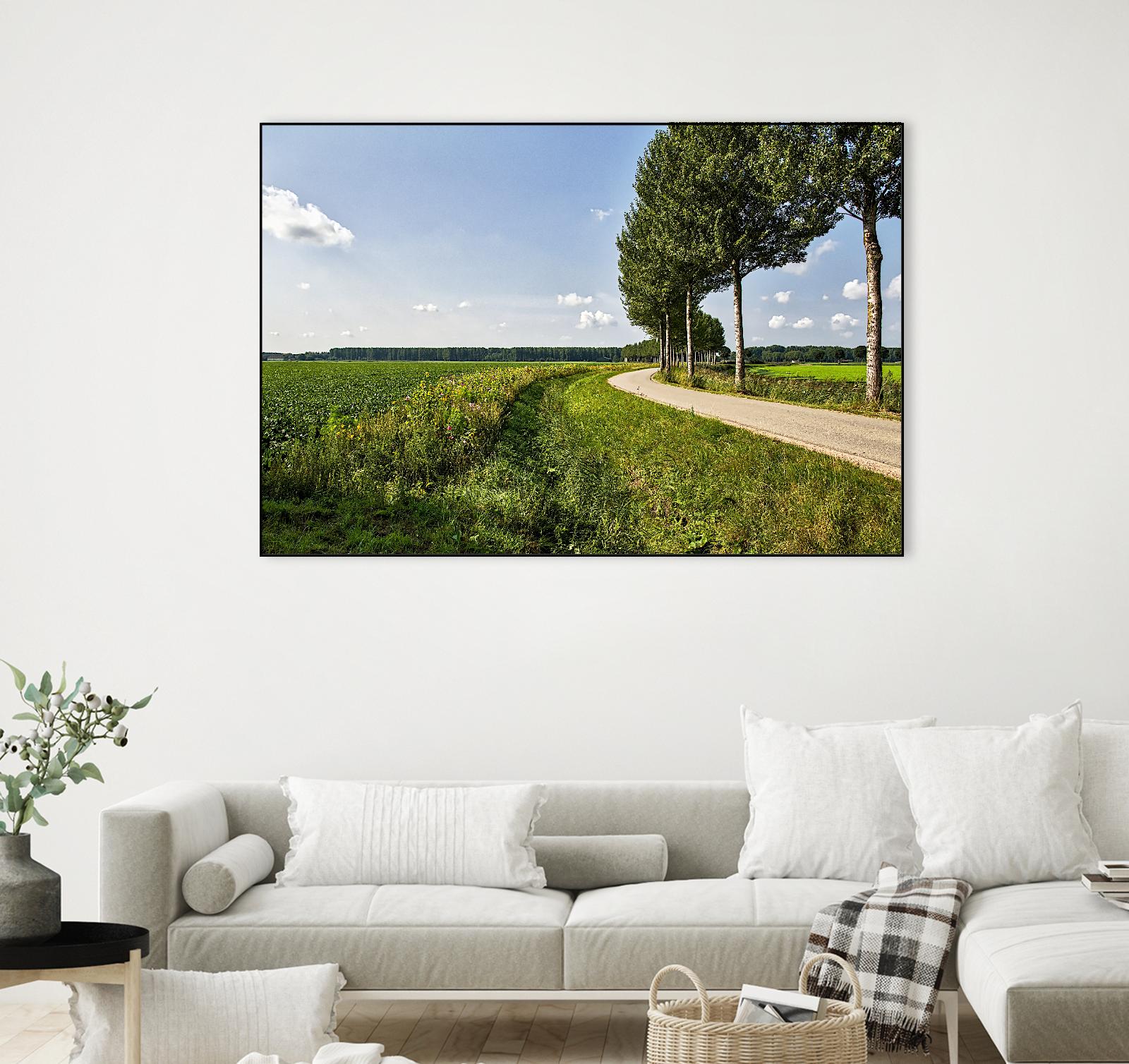 The Road Ahead by Chuck Burdick on GIANT ART - multicolor photography; landscapes