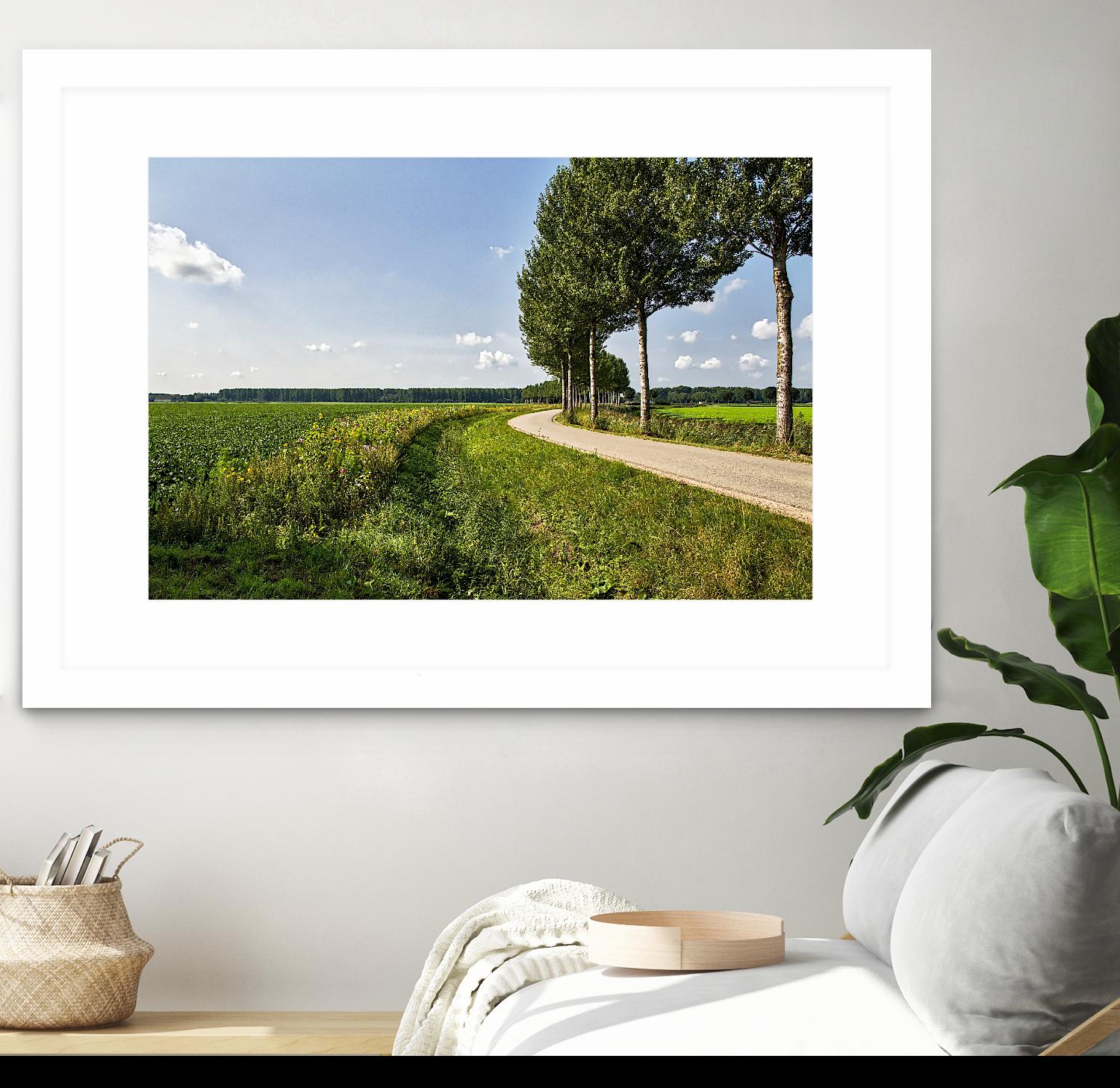 The Road Ahead by Chuck Burdick on GIANT ART - multicolor photography; landscapes