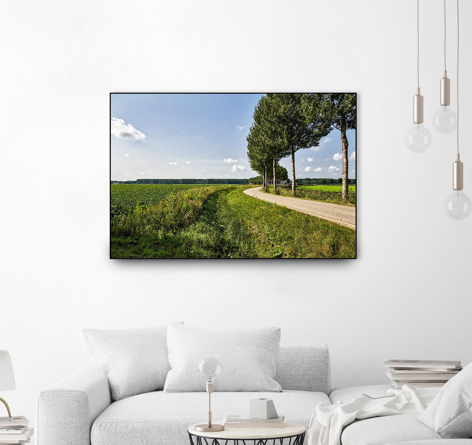 The Road Ahead by Chuck Burdick on GIANT ART - multicolor photography; landscapes