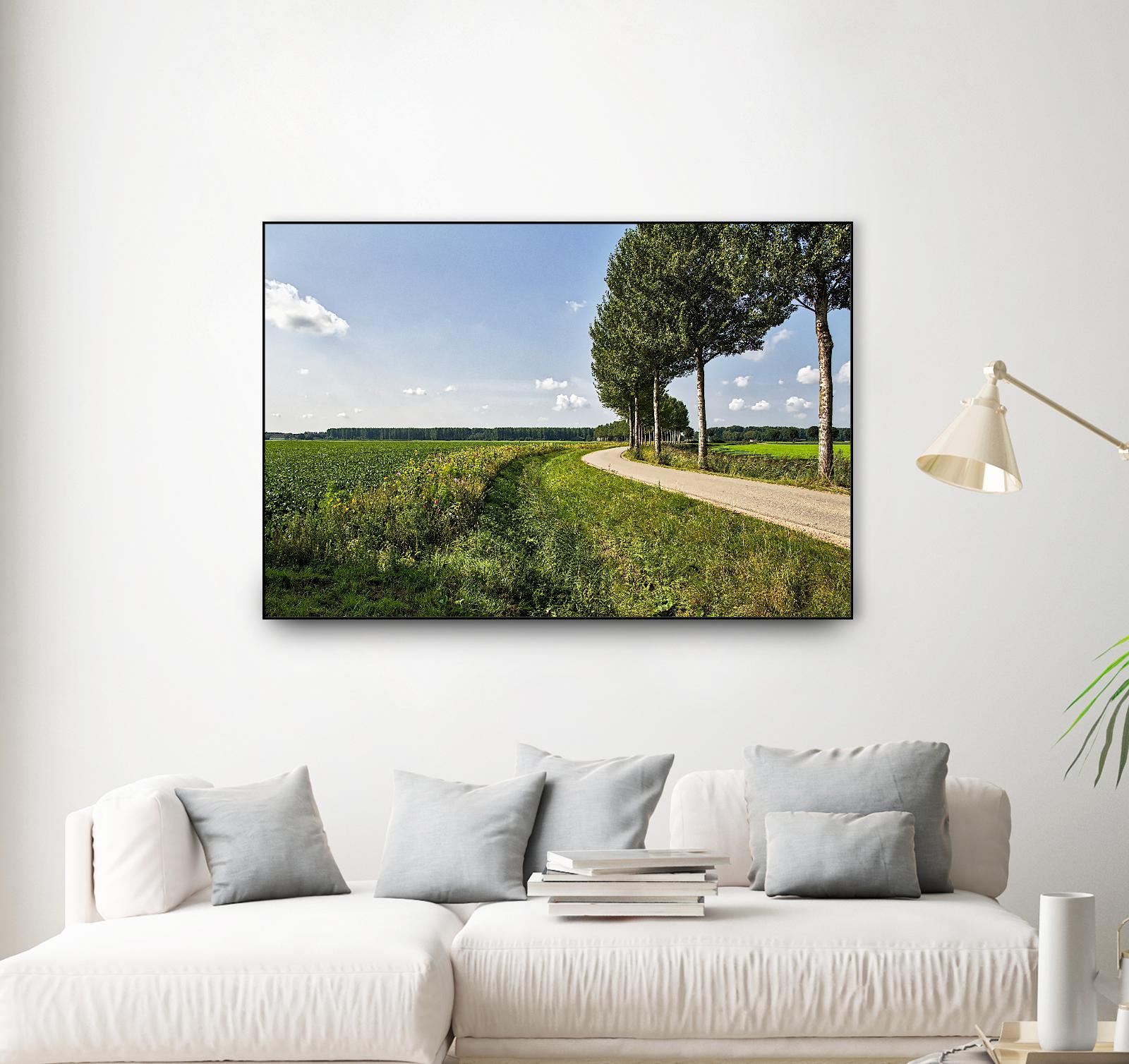 The Road Ahead by Chuck Burdick on GIANT ART - multicolor photography; landscapes