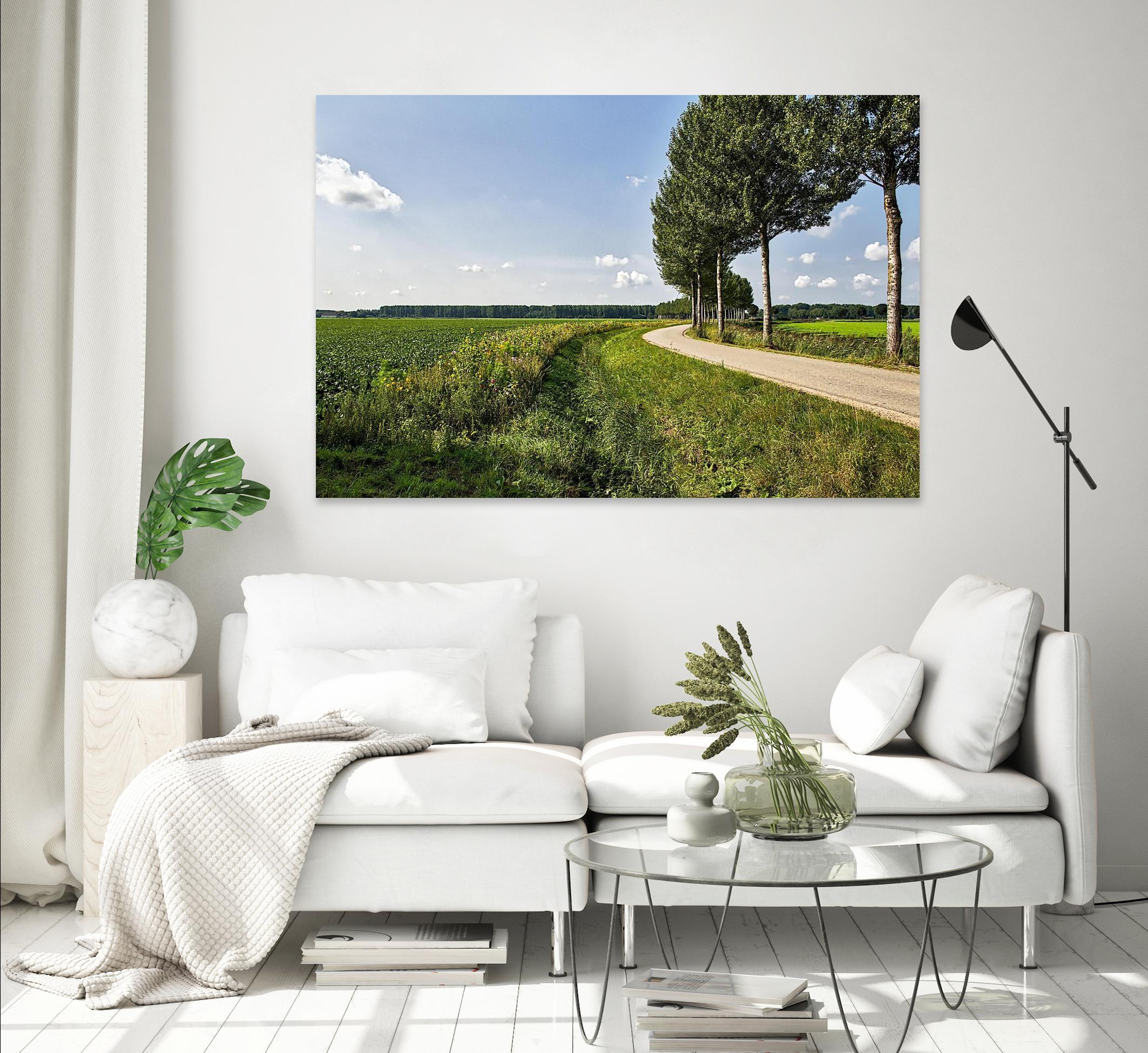 The Road Ahead by Chuck Burdick on GIANT ART - multicolor photography; landscapes