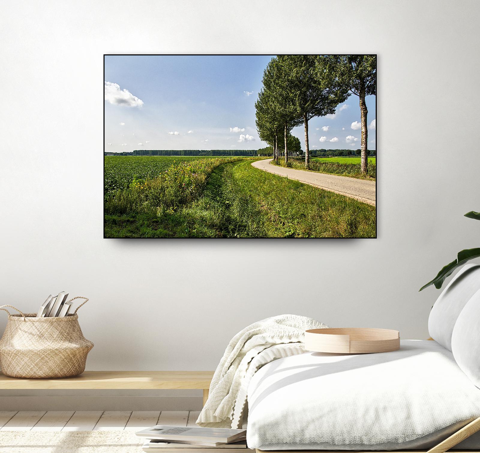 The Road Ahead by Chuck Burdick on GIANT ART - multicolor photography; landscapes