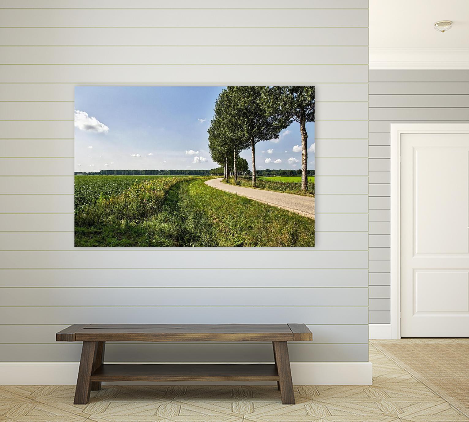 The Road Ahead by Chuck Burdick on GIANT ART - multicolor photography; landscapes