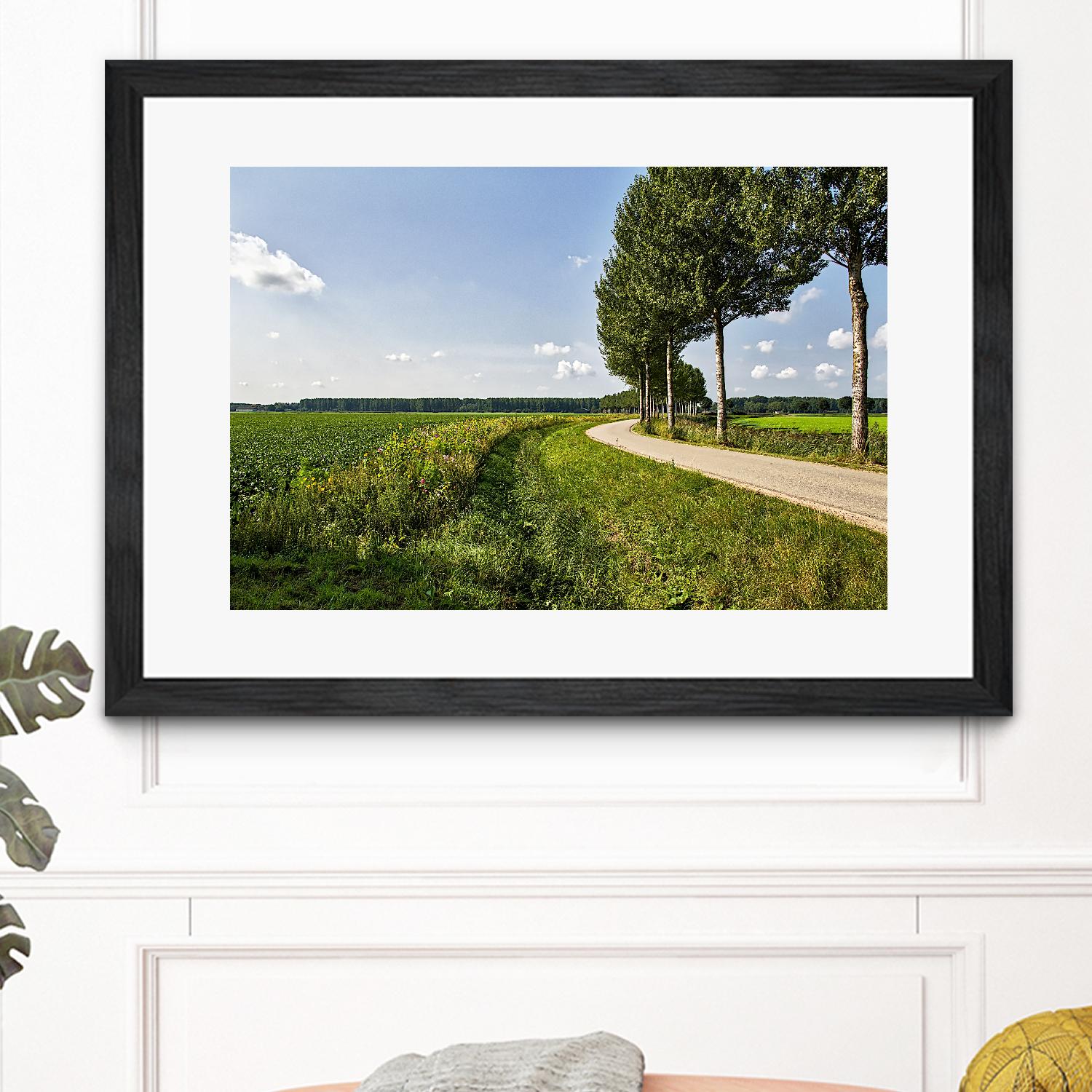 The Road Ahead by Chuck Burdick on GIANT ART - multicolor photography; landscapes