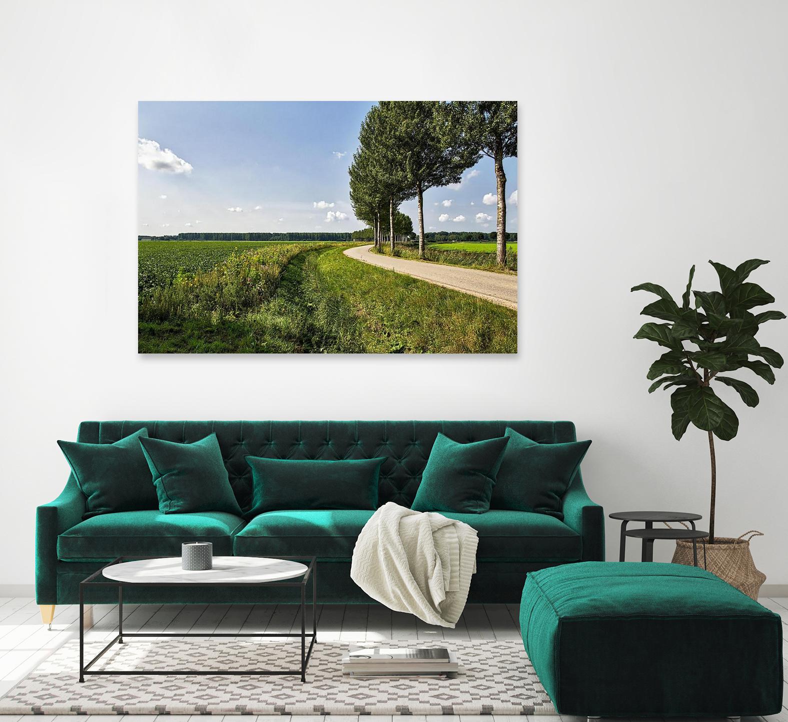 The Road Ahead by Chuck Burdick on GIANT ART - multicolor photography; landscapes