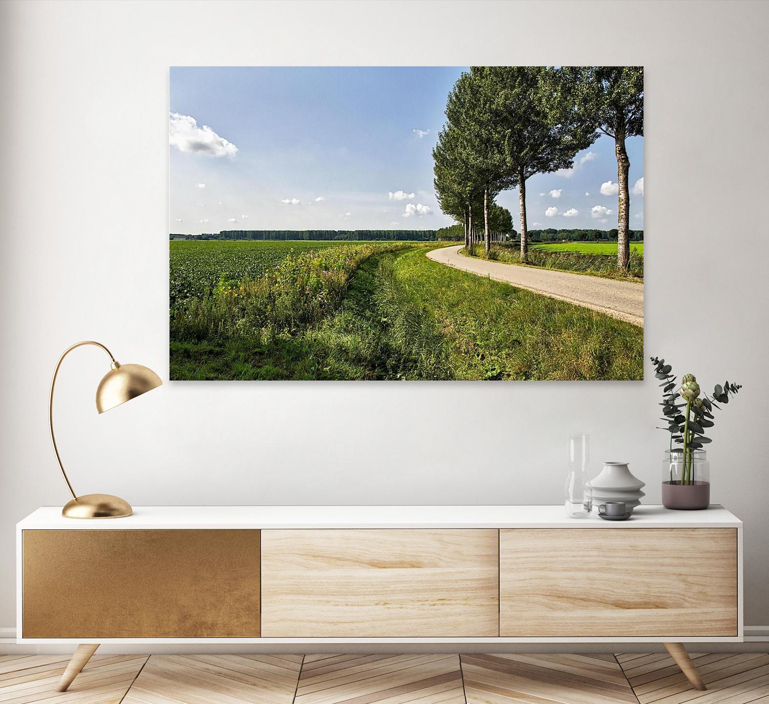 The Road Ahead by Chuck Burdick on GIANT ART - multicolor photography; landscapes