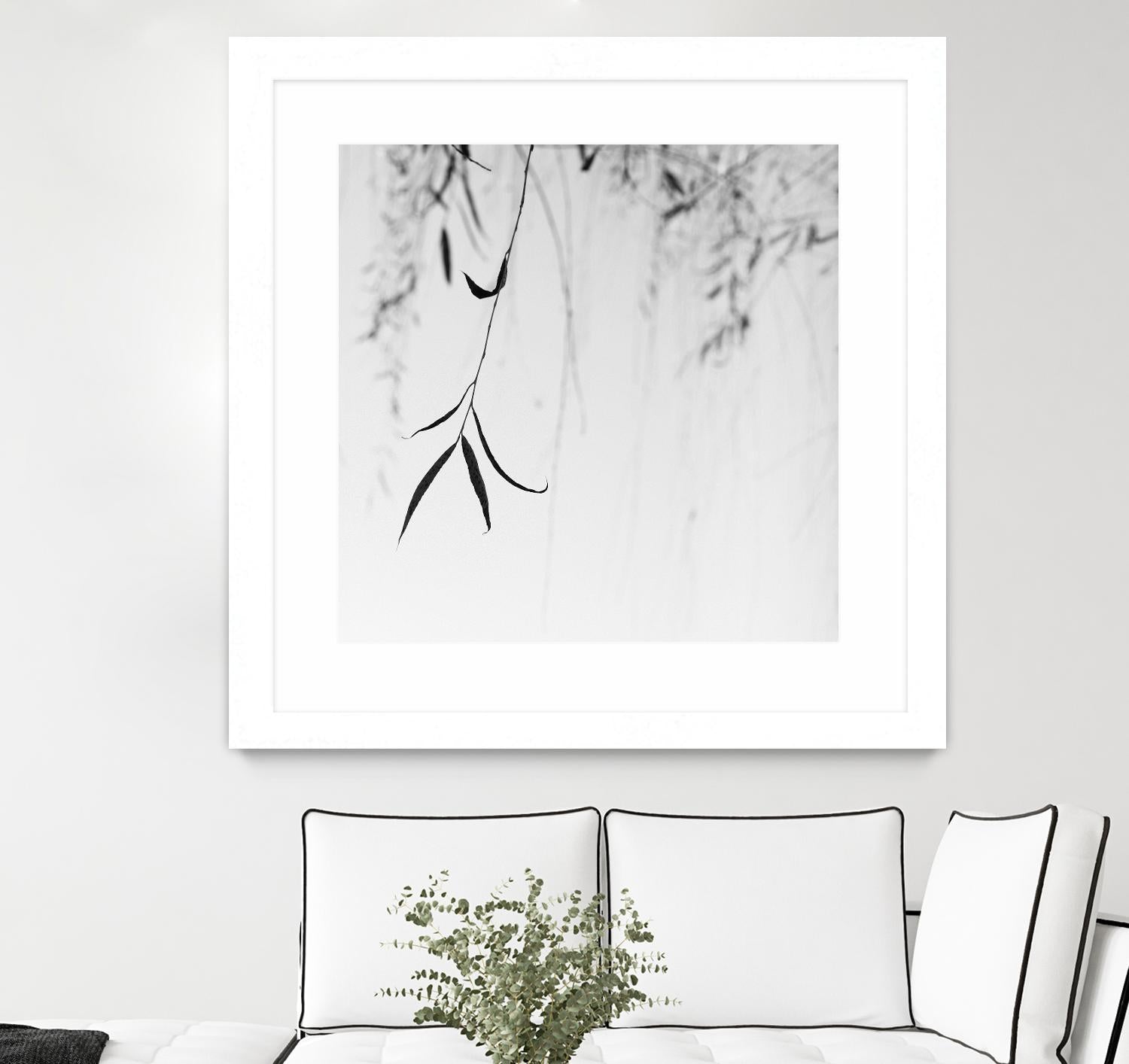 Willow Print No. 1 by Nicholas Bell on GIANT ART - multicolor photography