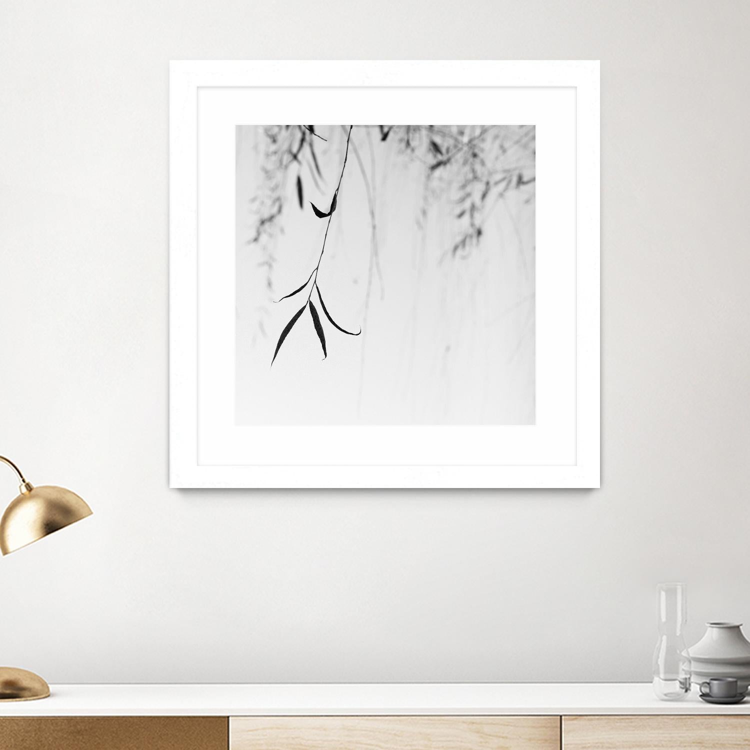 Willow Print No. 1 by Nicholas Bell on GIANT ART - multicolor photography