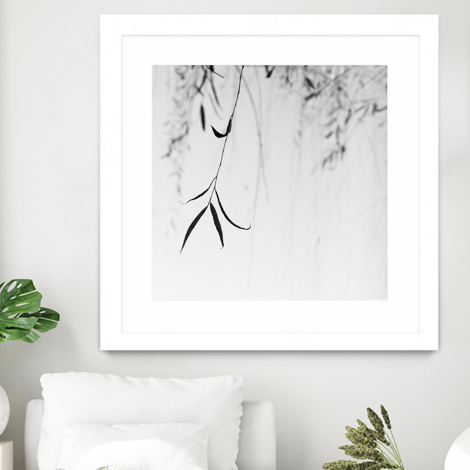 Willow Print No. 1 by Nicholas Bell on GIANT ART - multicolor photography