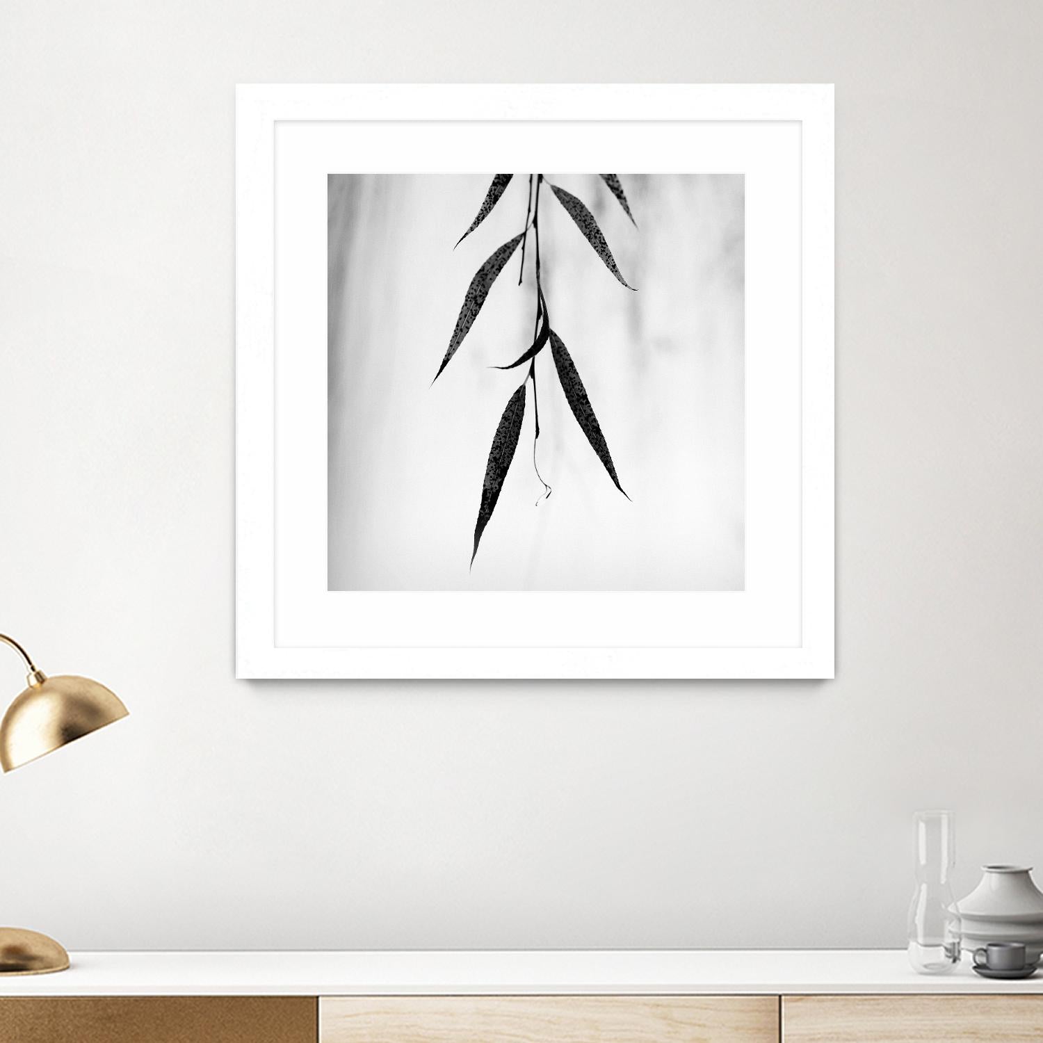 Willow Print No. 2 by Nicholas Bell on GIANT ART - multicolor photography
