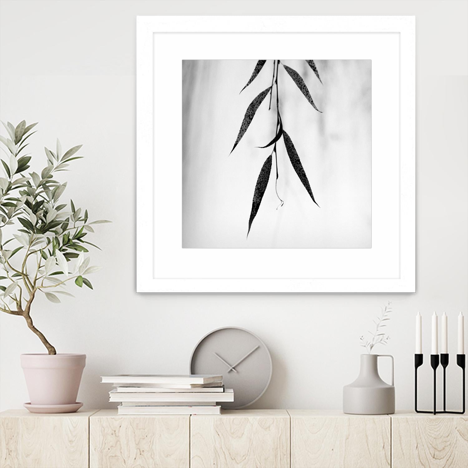 Willow Print No. 2 by Nicholas Bell on GIANT ART - multicolor photography