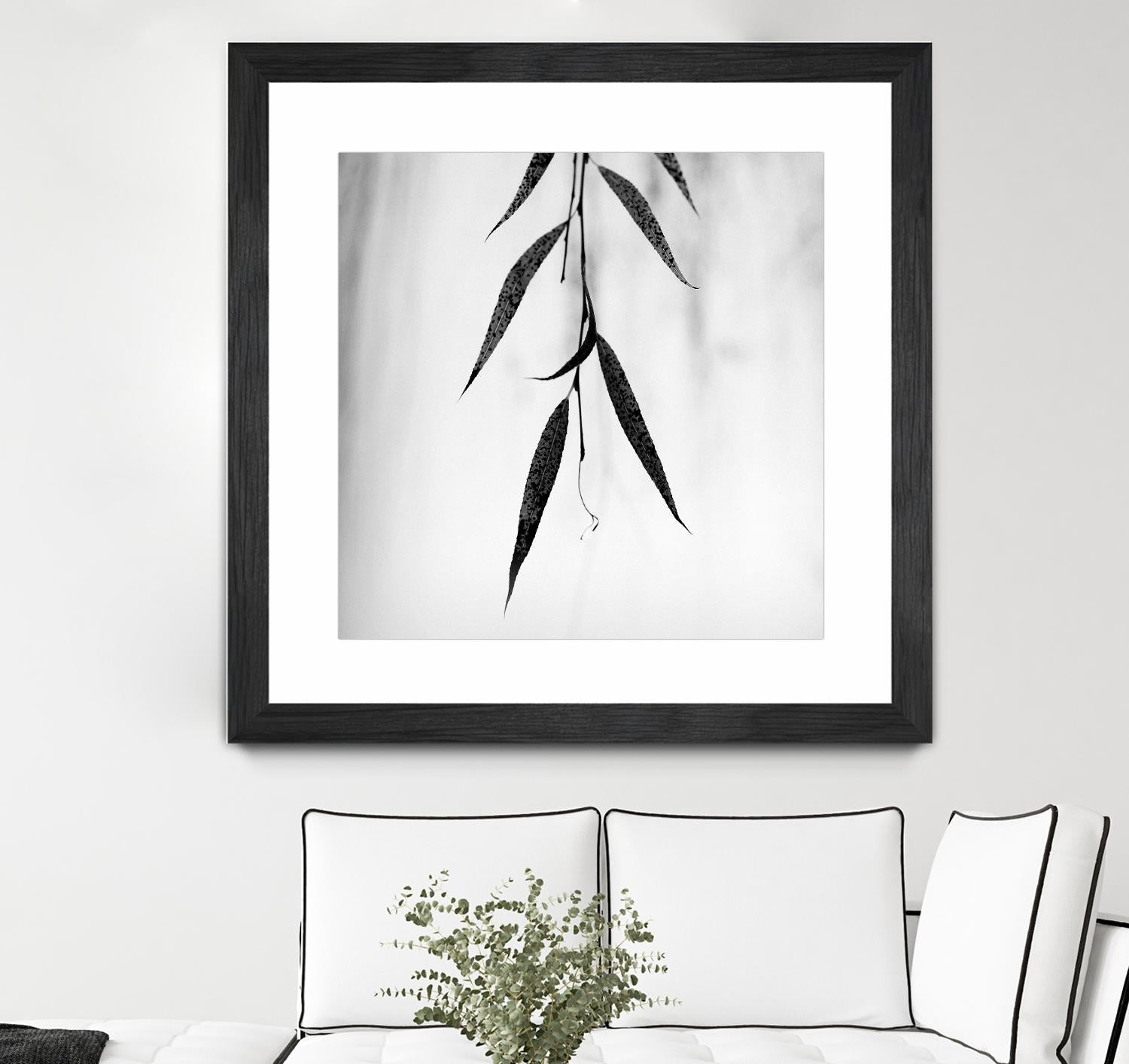 Willow Print No. 2 by Nicholas Bell on GIANT ART - multicolor photography