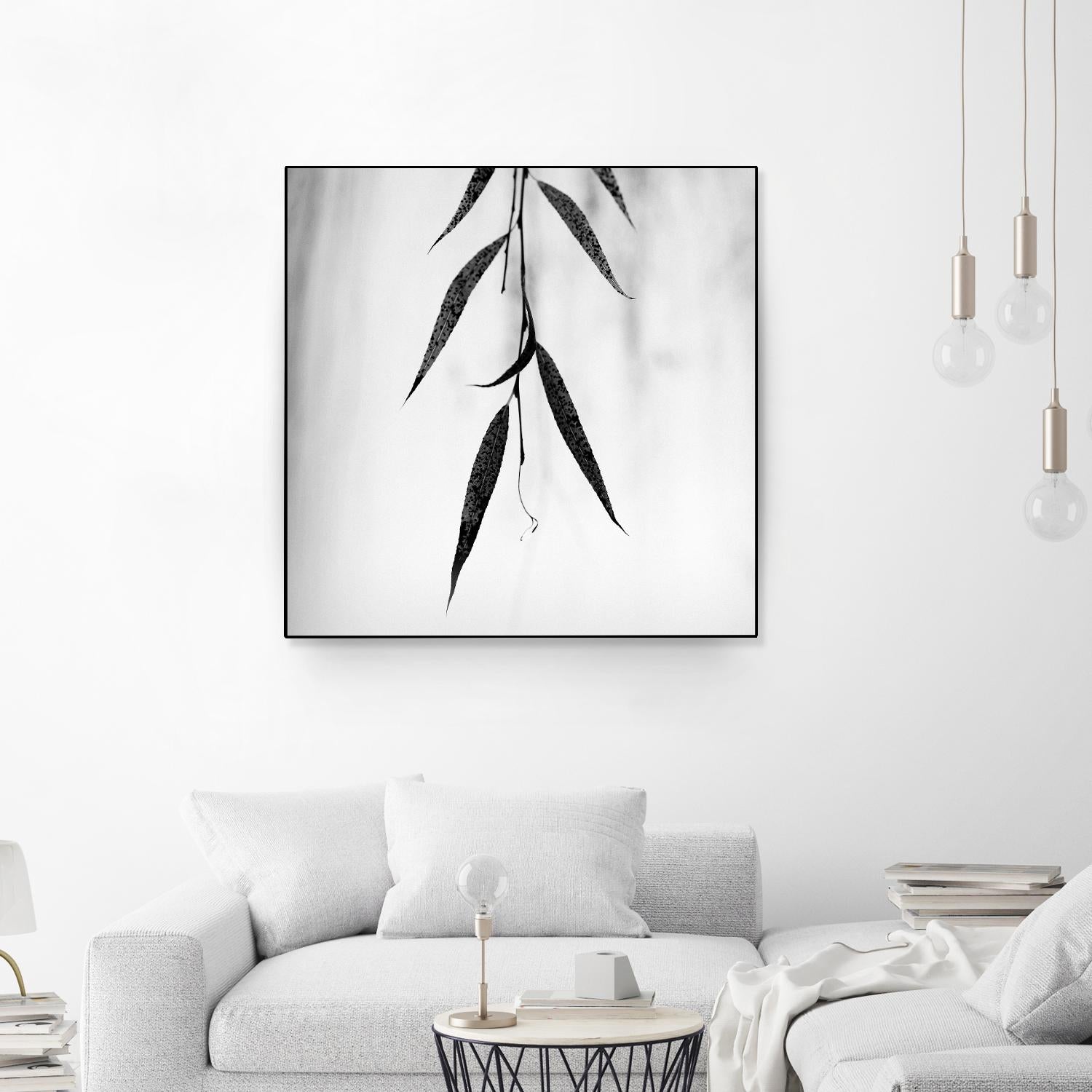 Willow Print No. 2 by Nicholas Bell on GIANT ART - multicolor photography