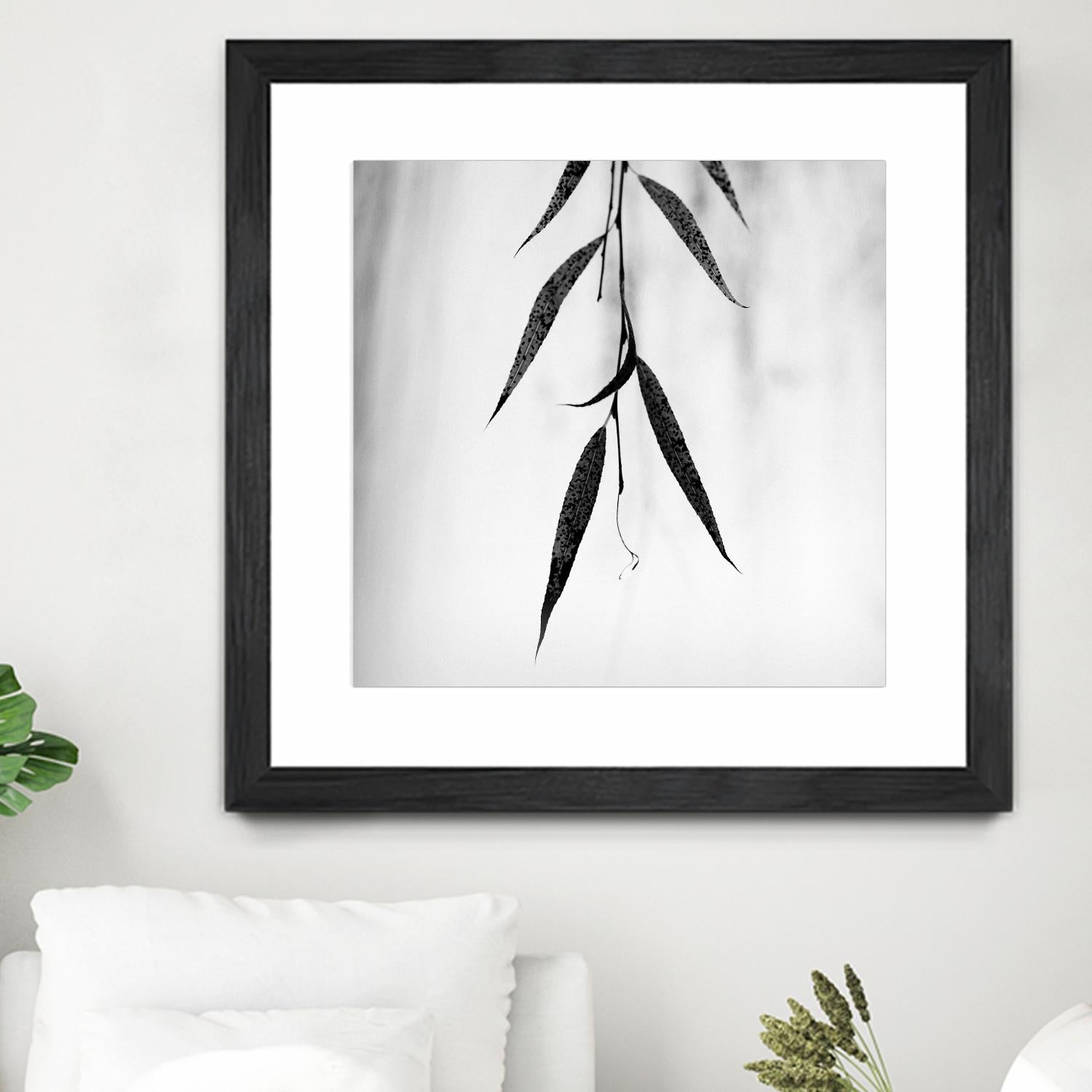 Willow Print No. 2 by Nicholas Bell on GIANT ART - multicolor photography