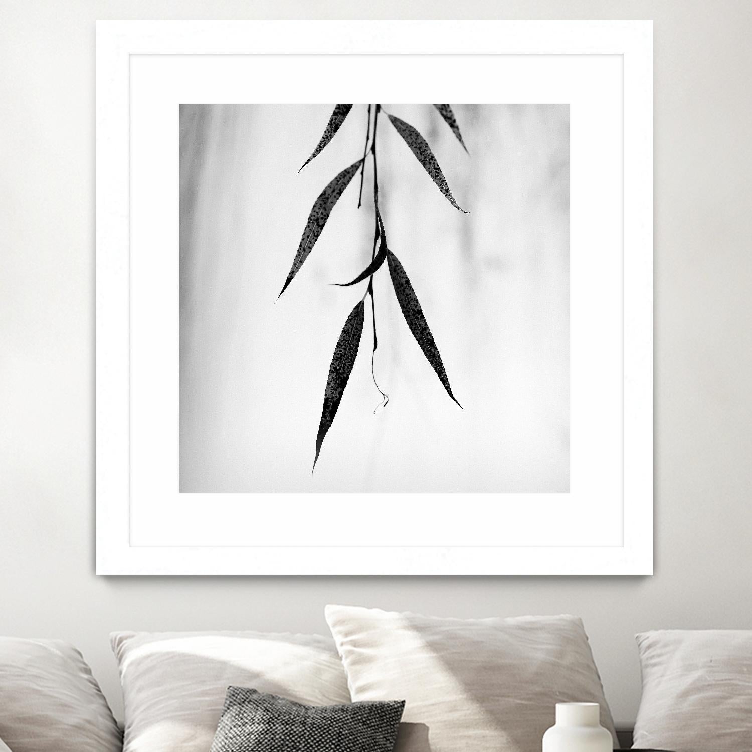 Willow Print No. 2 by Nicholas Bell on GIANT ART - multicolor photography