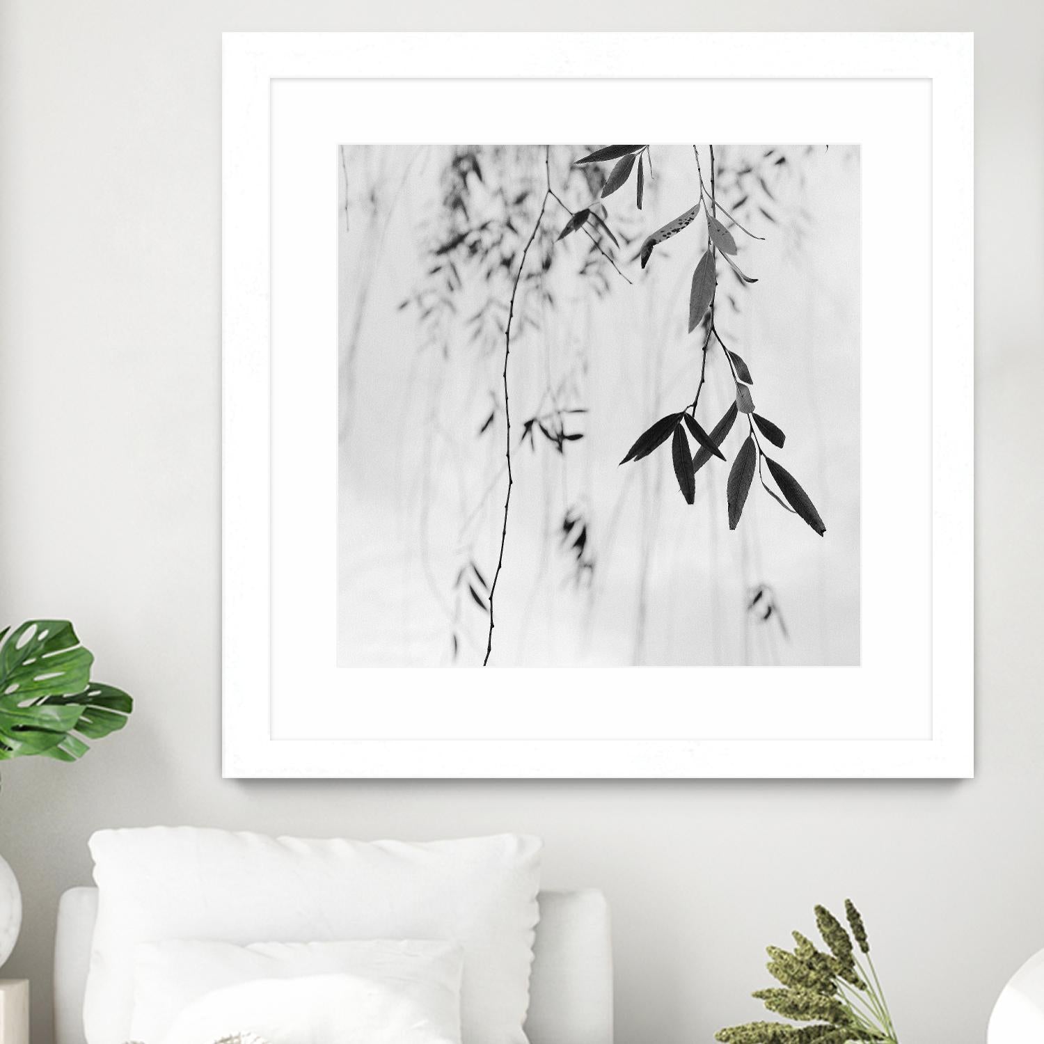 Willow Print No. 3 by Nicholas Bell on GIANT ART - multicolor photography