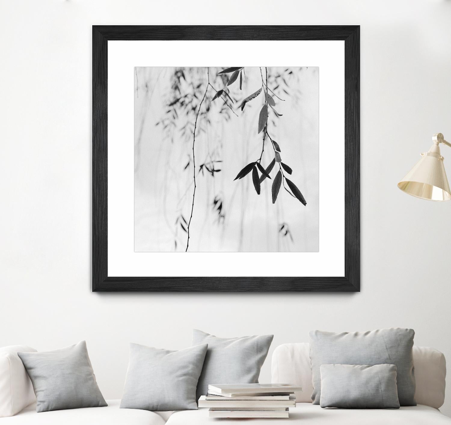 Willow Print No. 3 by Nicholas Bell on GIANT ART - multicolor photography