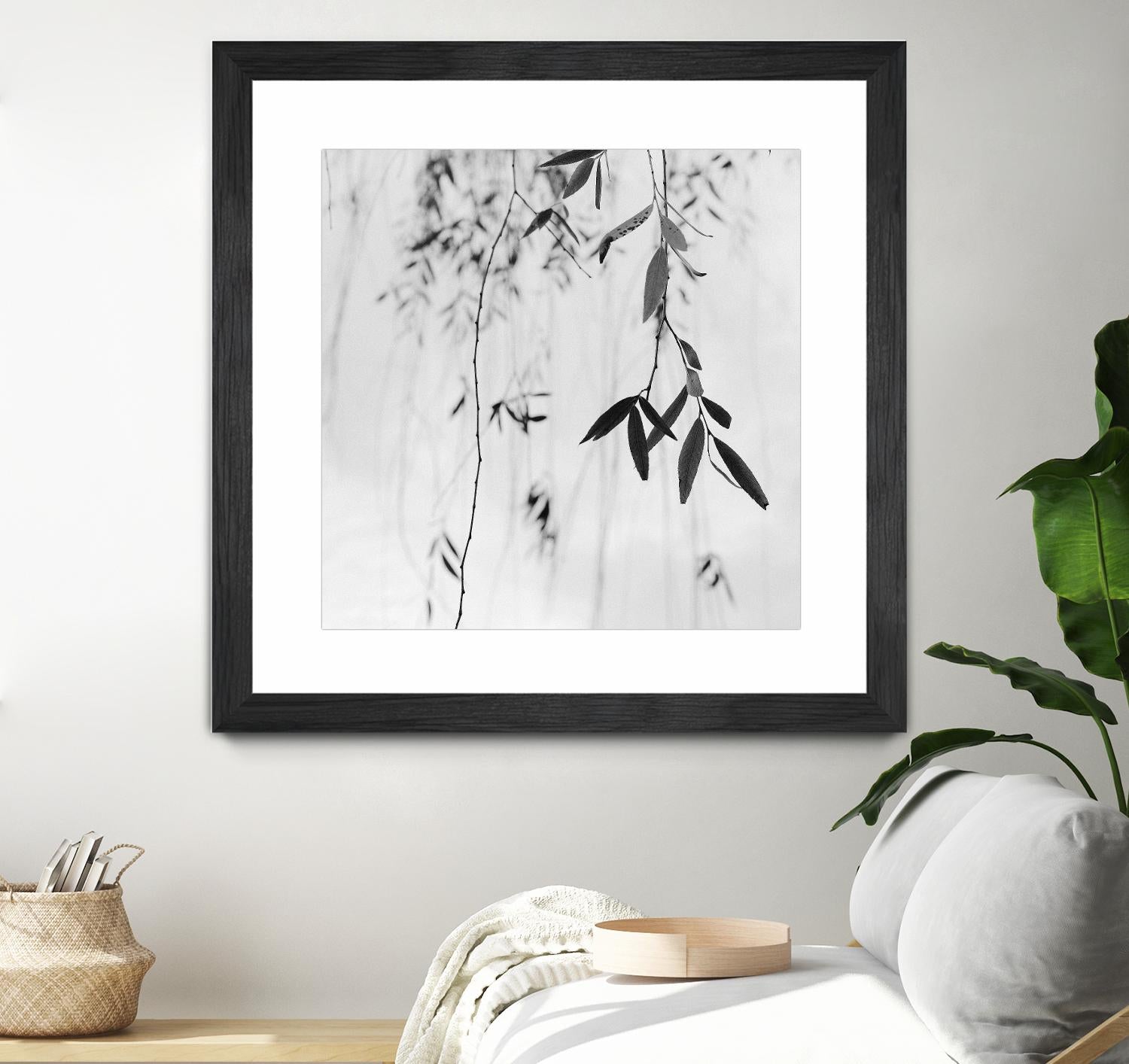 Willow Print No. 3 by Nicholas Bell on GIANT ART - multicolor photography