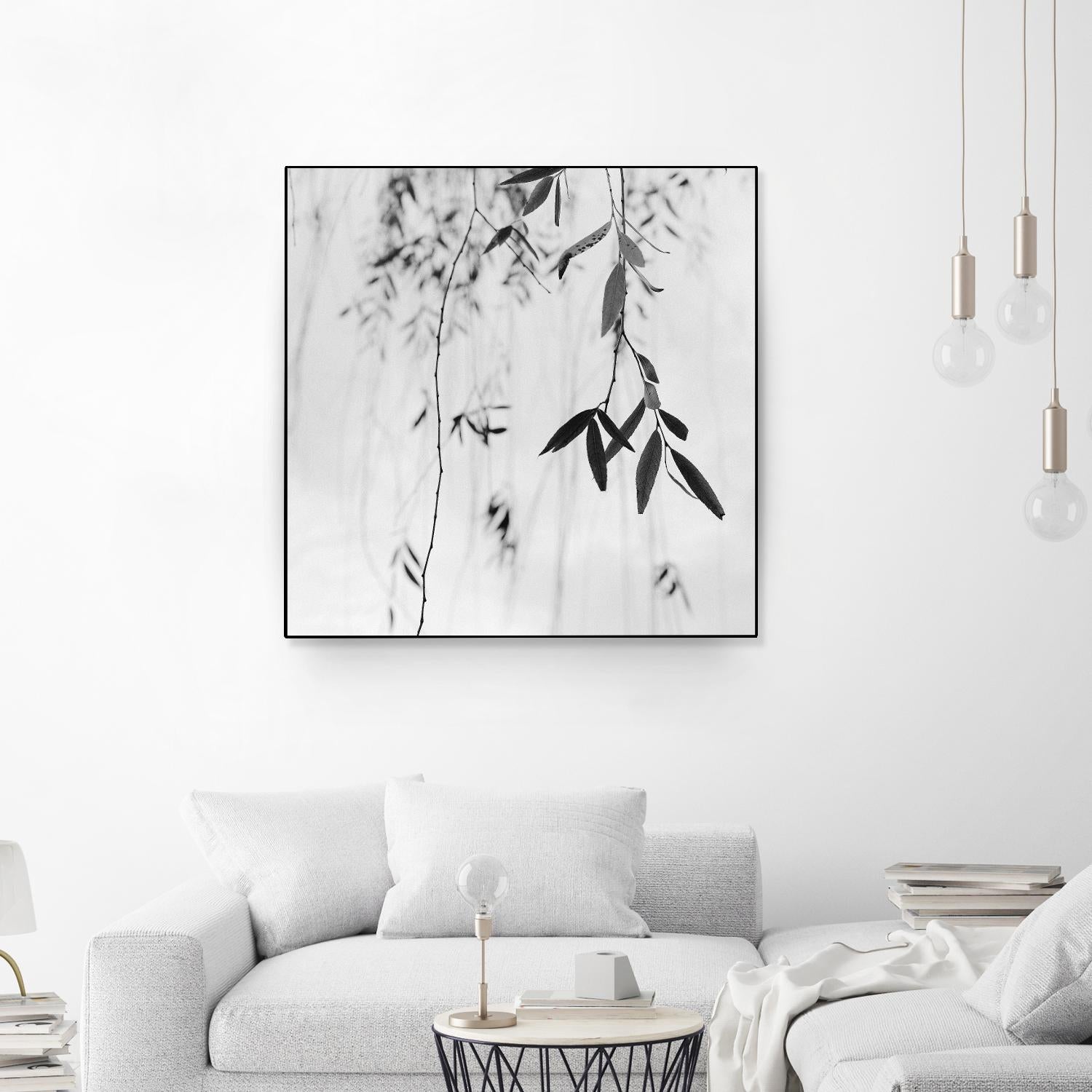 Willow Print No. 3 by Nicholas Bell on GIANT ART - multicolor photography