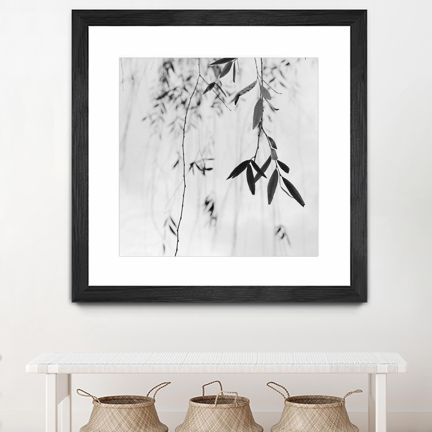 Willow Print No. 3 by Nicholas Bell on GIANT ART - multicolor photography