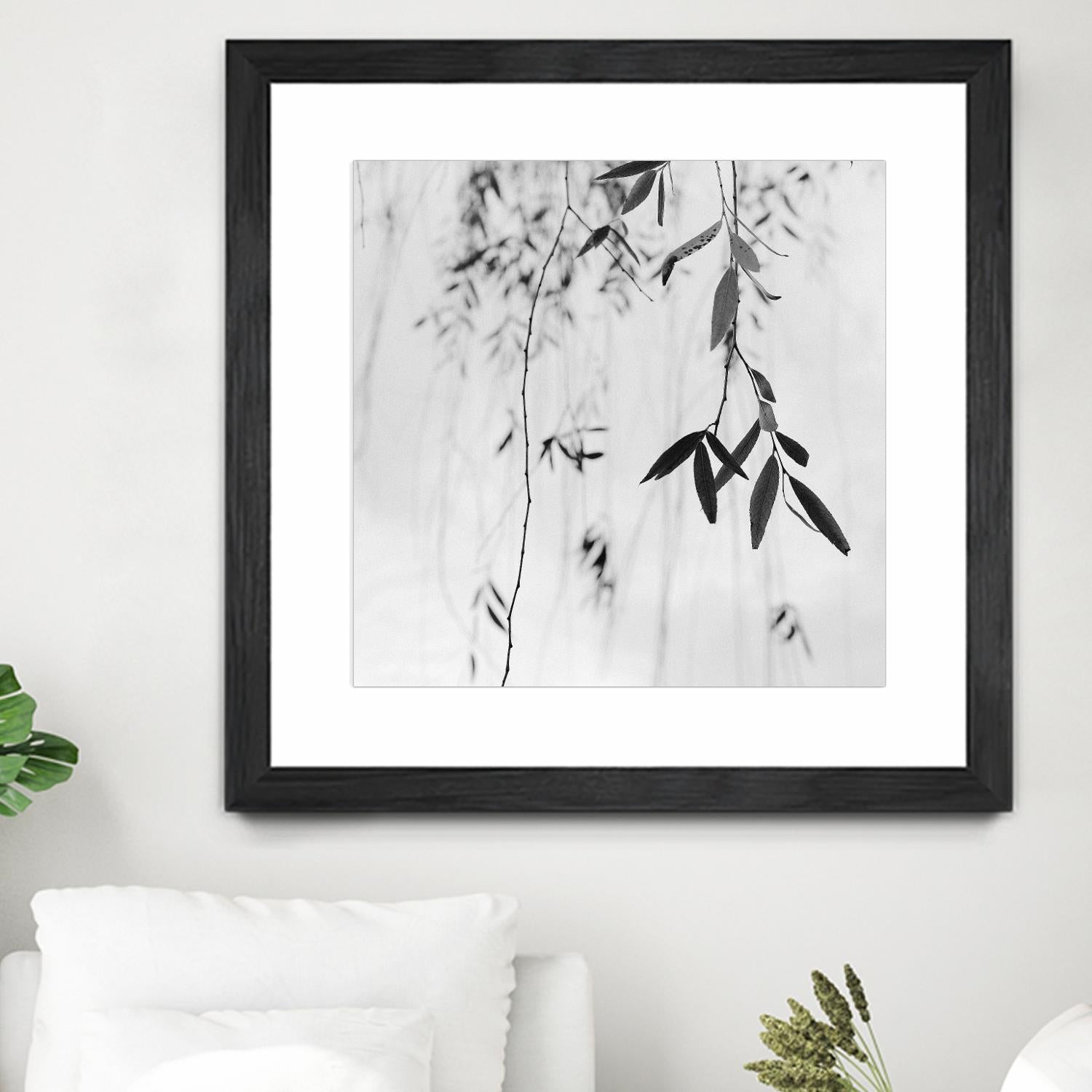 Willow Print No. 3 by Nicholas Bell on GIANT ART - multicolor photography