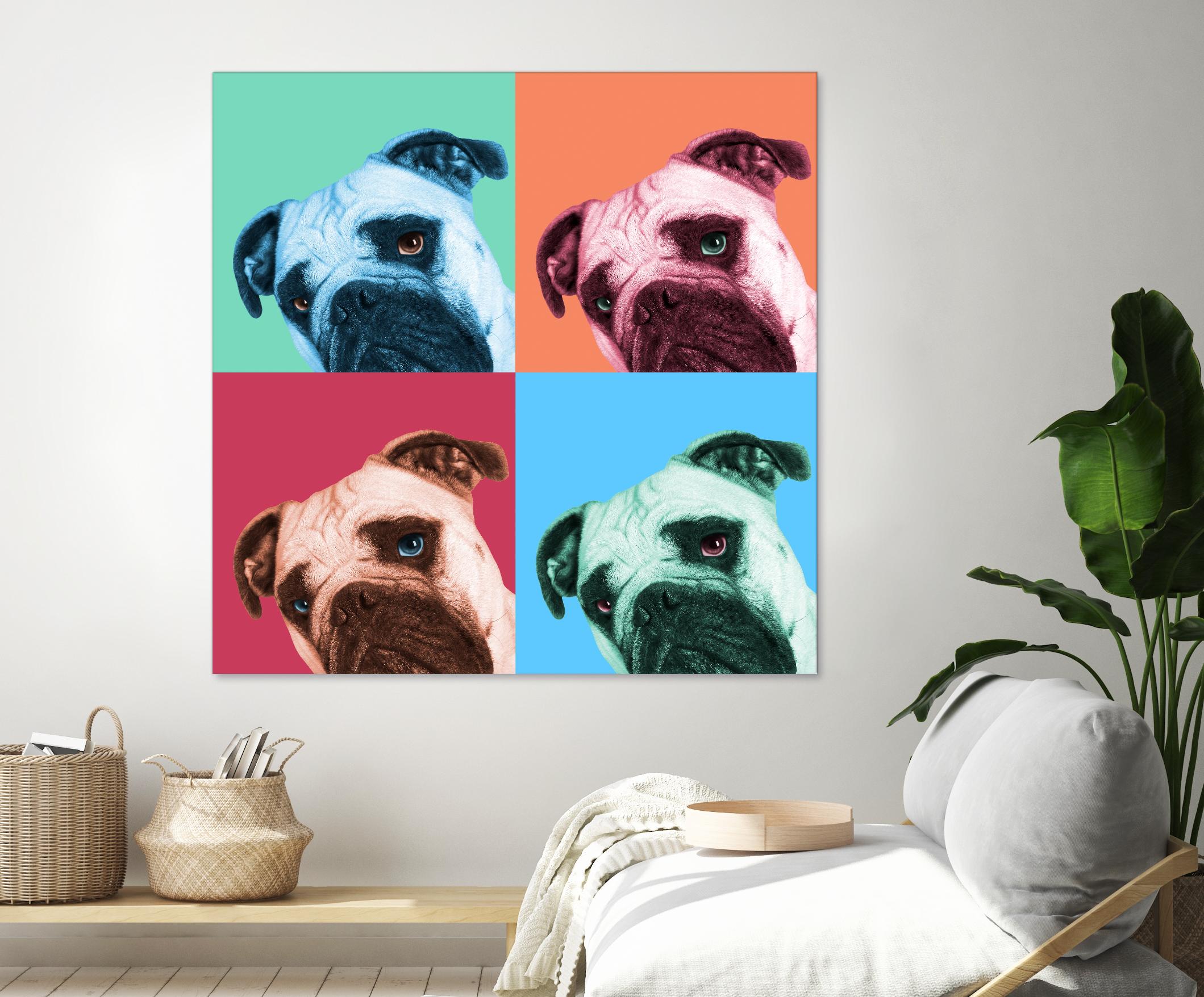 Que Pasa Pop by Jon Bertelli on GIANT ART - multicolor animals; photography; contemporary