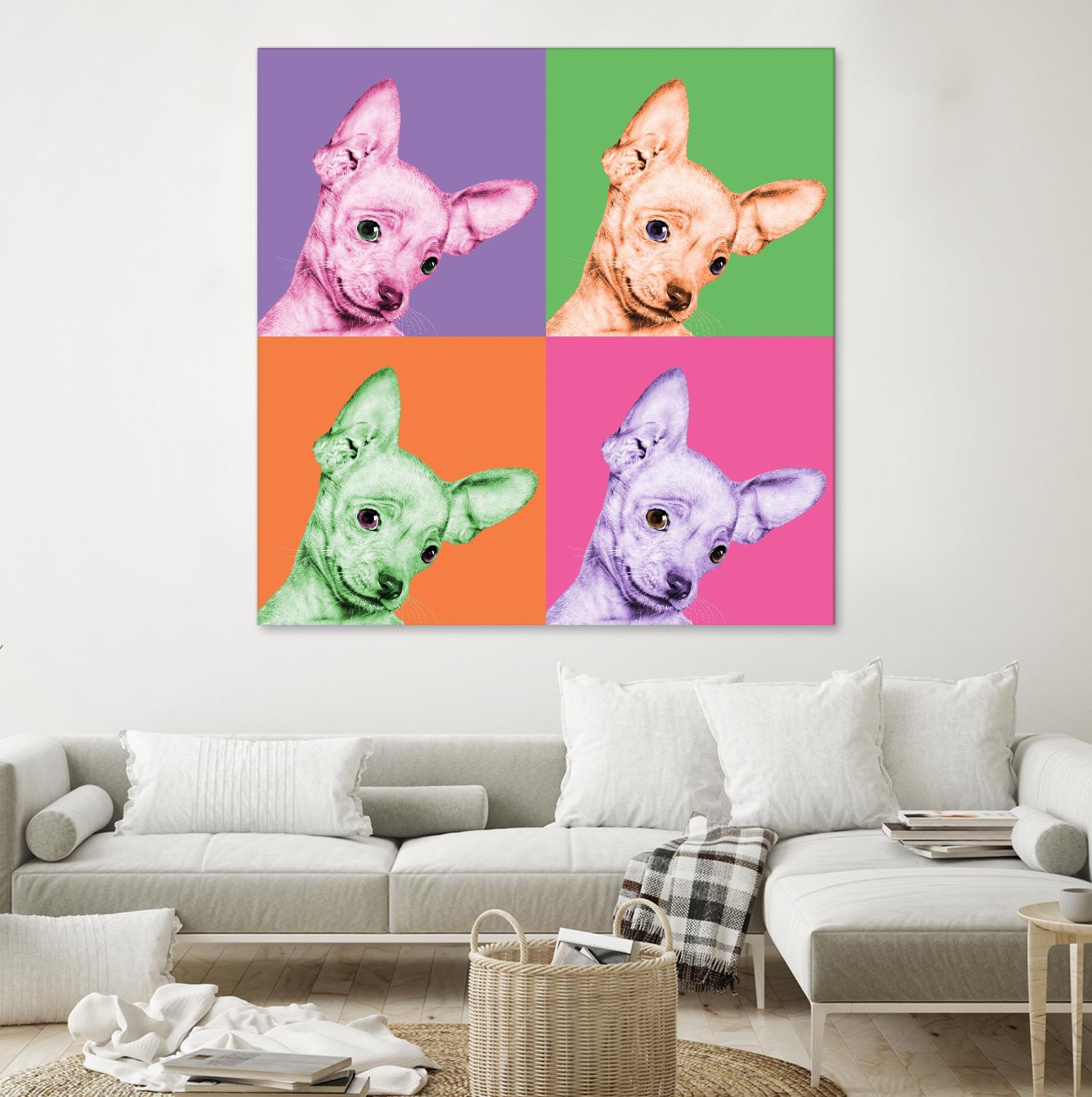 Sweet Chihuahua Pop by Jon Bertelli on GIANT ART - multicolor animals; photography; contemporary