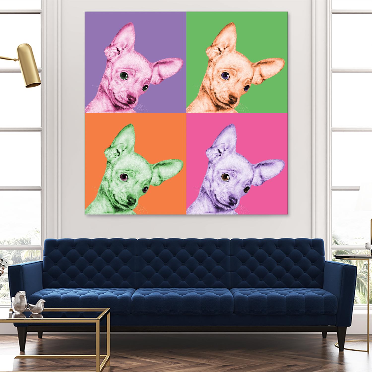 Sweet Chihuahua Pop by Jon Bertelli on GIANT ART - multicolor animals; photography; contemporary