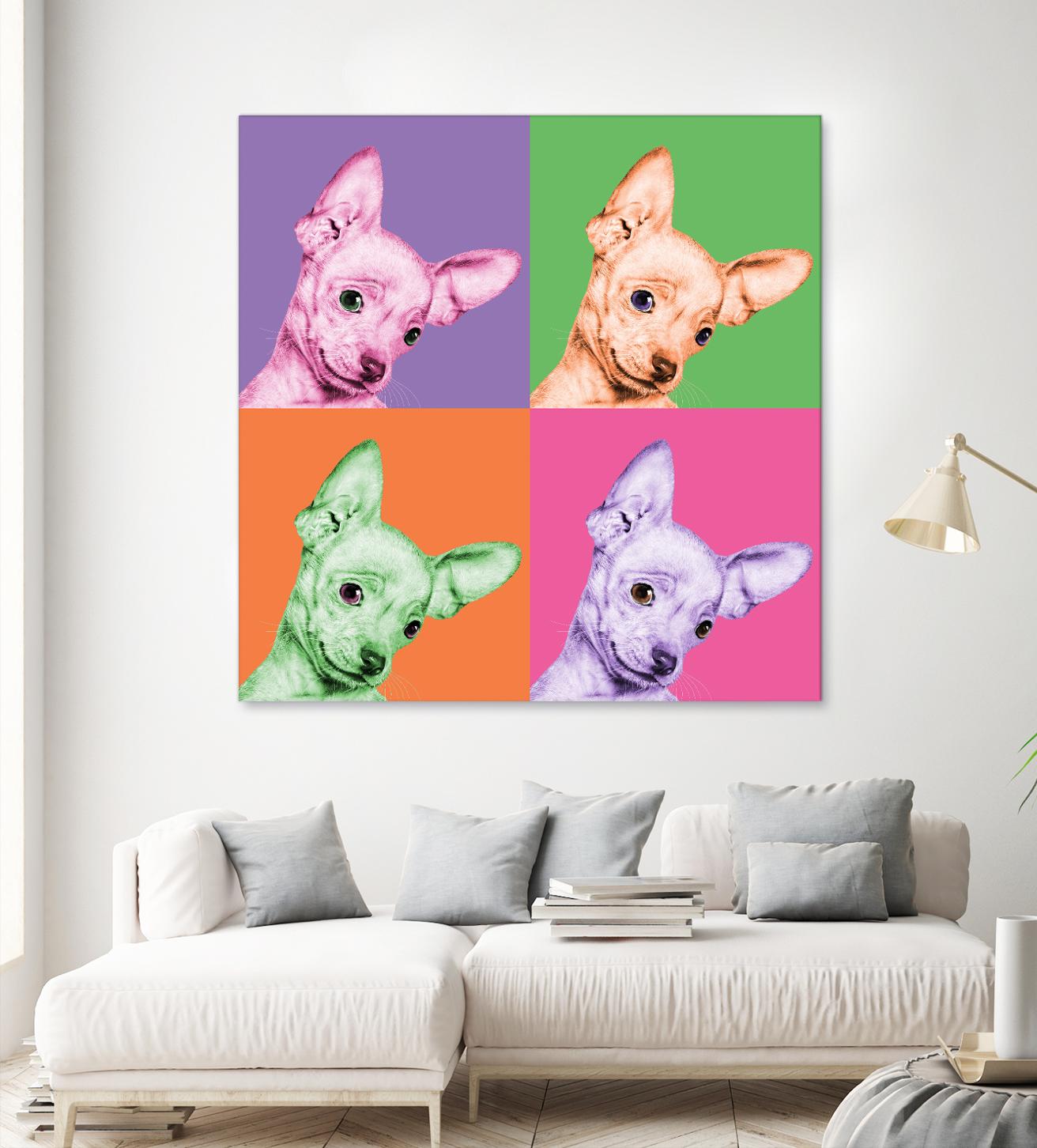 Sweet Chihuahua Pop by Jon Bertelli on GIANT ART - multicolor animals; photography; contemporary