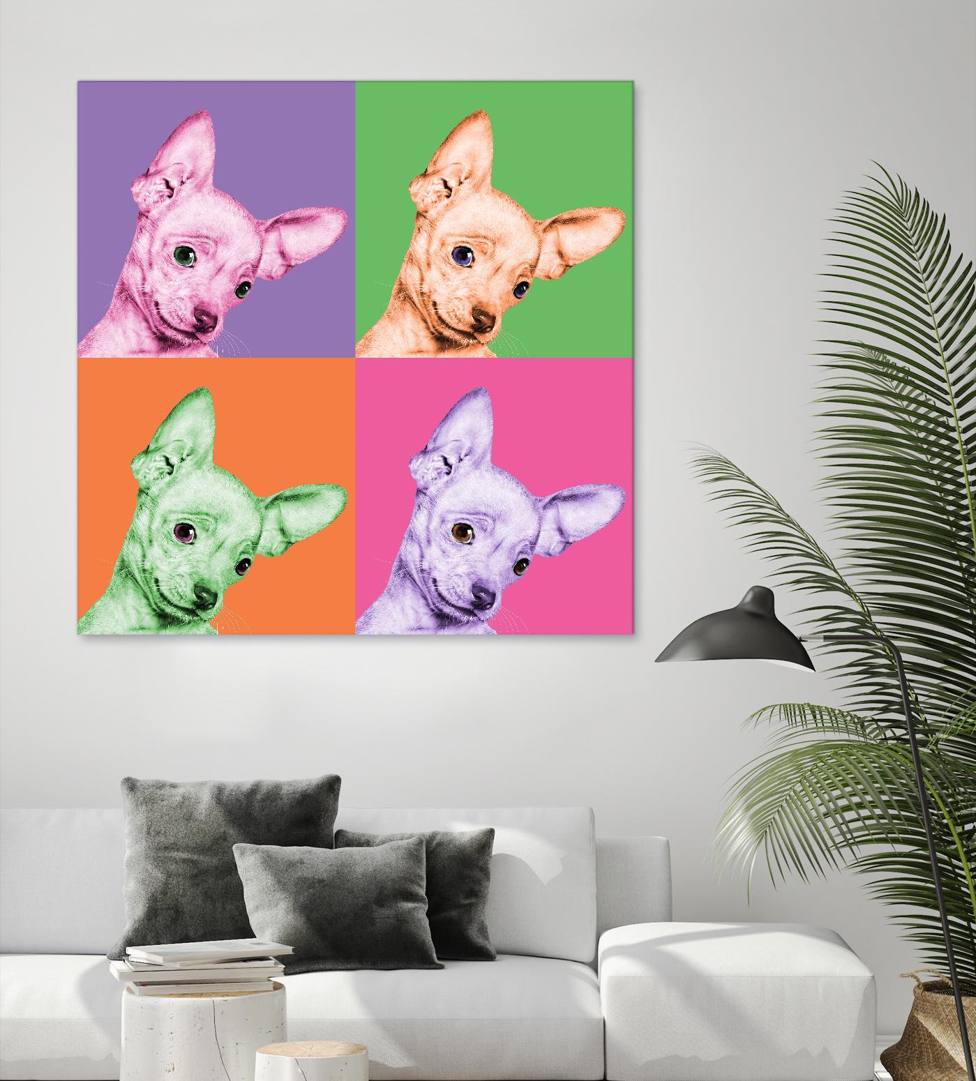 Sweet Chihuahua Pop by Jon Bertelli on GIANT ART - multicolor animals; photography; contemporary
