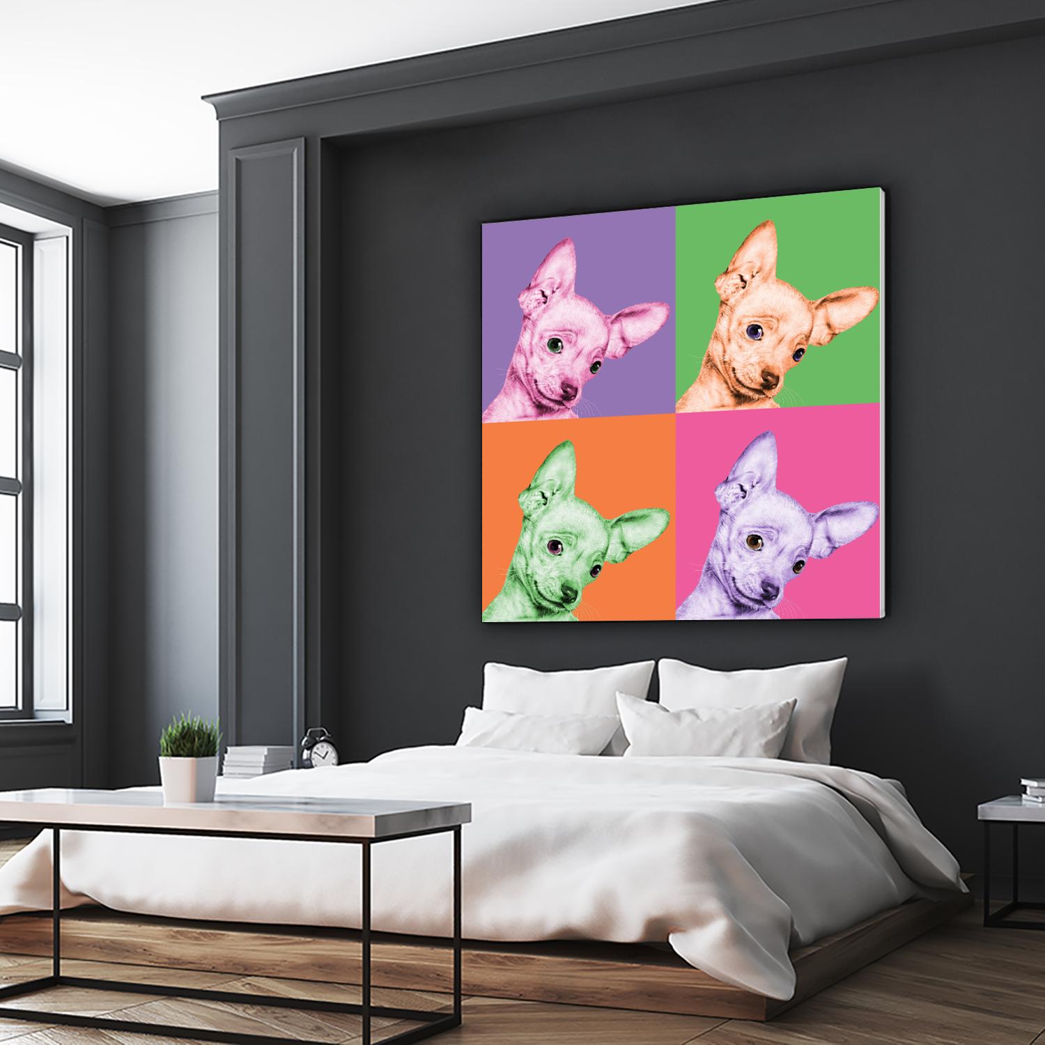 Sweet Chihuahua Pop by Jon Bertelli on GIANT ART - multicolor animals; photography; contemporary