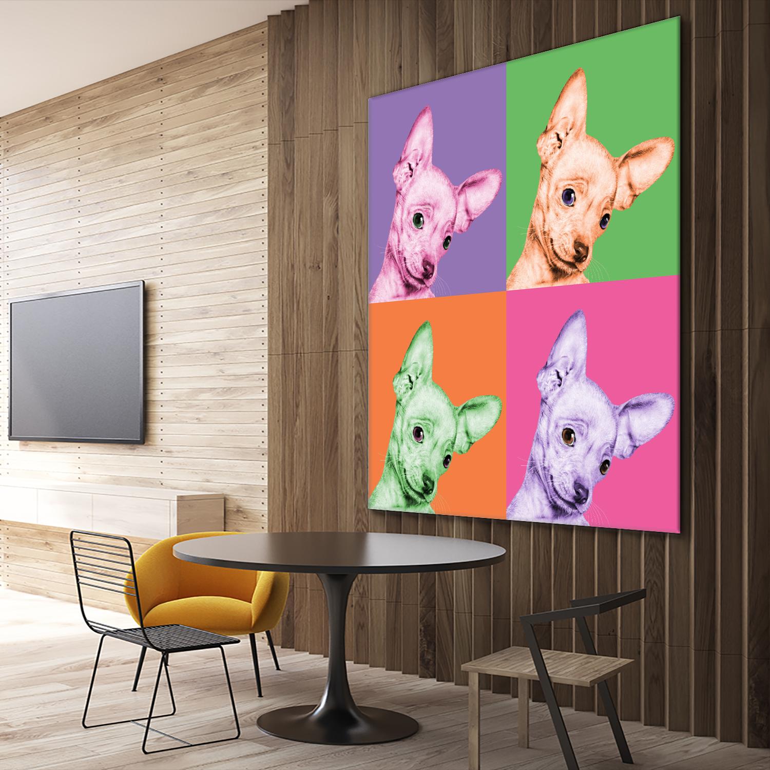 Sweet Chihuahua Pop by Jon Bertelli on GIANT ART - multicolor animals; photography; contemporary
