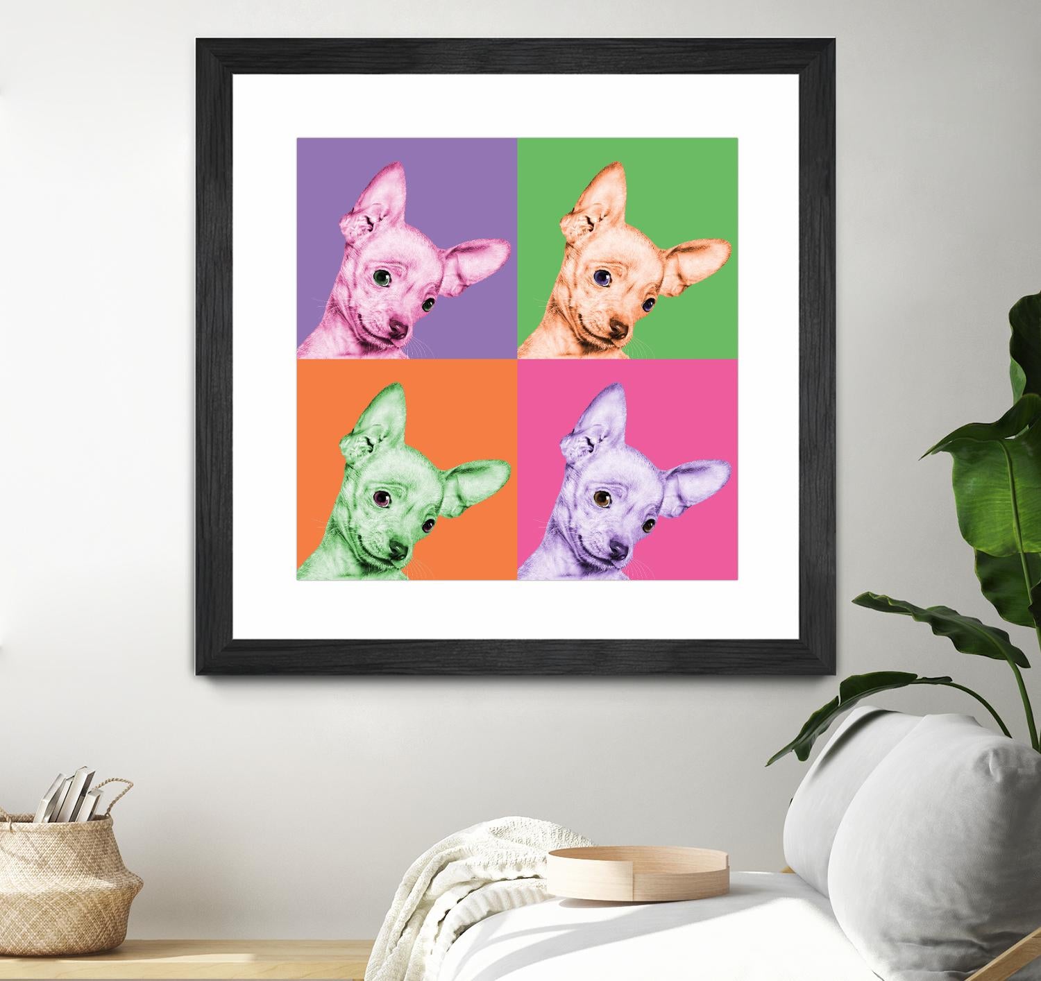 Sweet Chihuahua Pop by Jon Bertelli on GIANT ART - multicolor animals; photography; contemporary