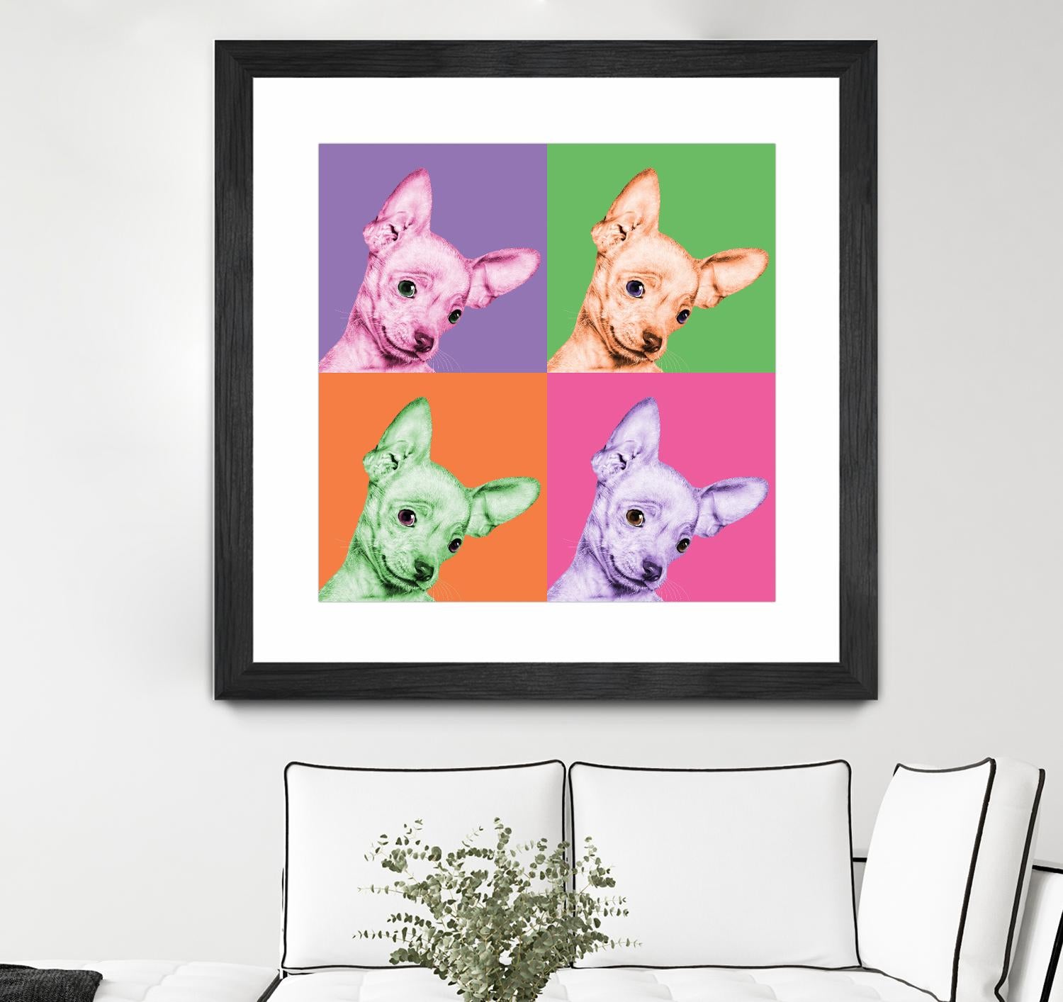 Sweet Chihuahua Pop by Jon Bertelli on GIANT ART - multicolor animals; photography; contemporary