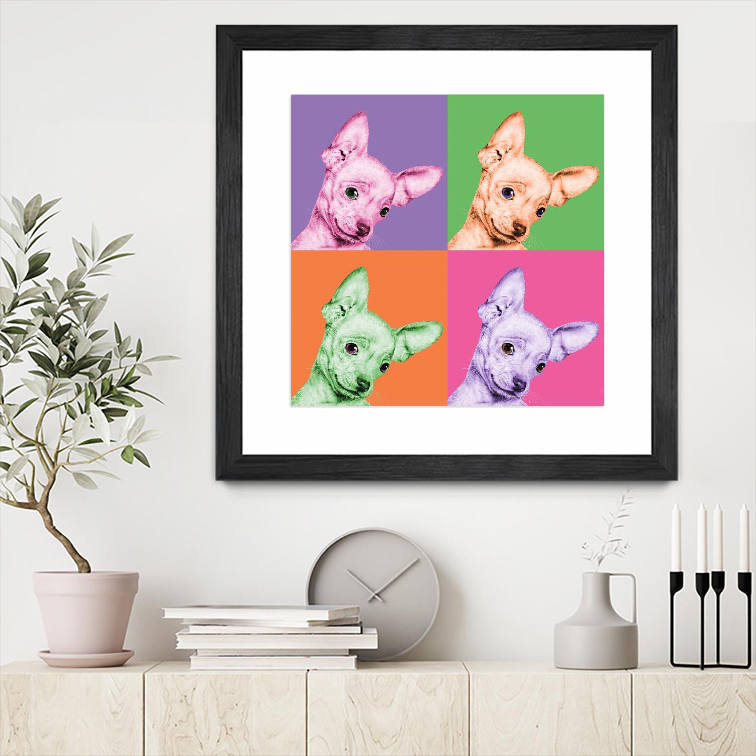 Sweet Chihuahua Pop by Jon Bertelli on GIANT ART - multicolor animals; photography; contemporary