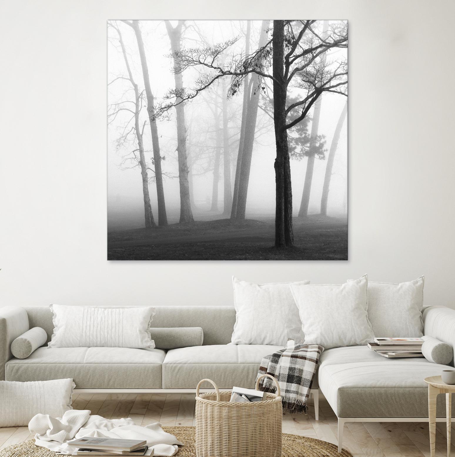 Etheral Trees by Nicholas Bell on GIANT ART - pink,orange landscapes, photography