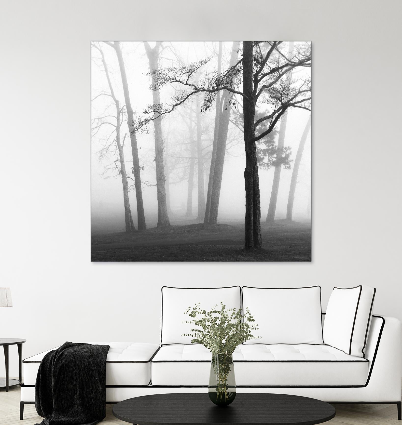 Etheral Trees by Nicholas Bell on GIANT ART - pink,orange landscapes, photography