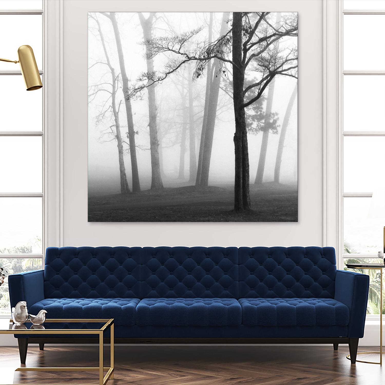 Etheral Trees by Nicholas Bell on GIANT ART - pink,orange landscapes, photography