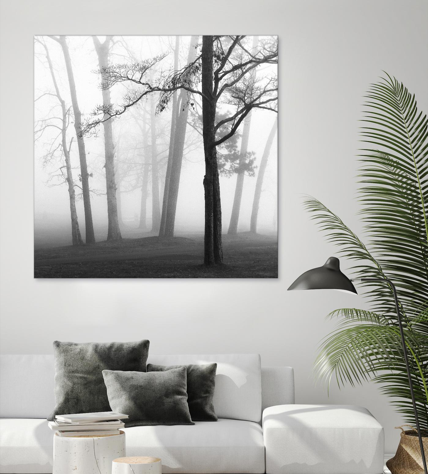 Etheral Trees by Nicholas Bell on GIANT ART - pink,orange landscapes, photography