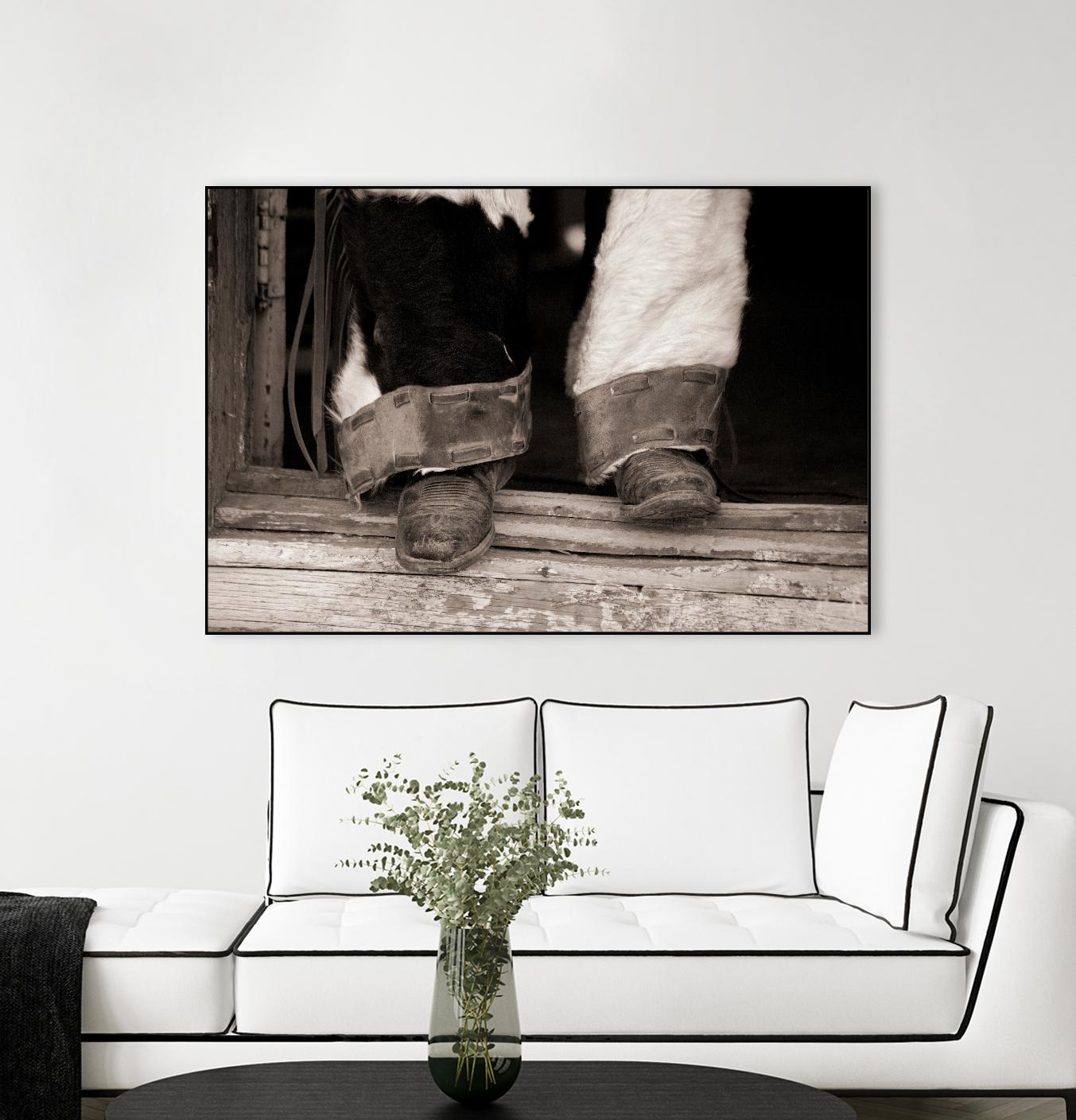 Furry Chaps by Lisa Dearing on GIANT ART - multicolor photography; figurative