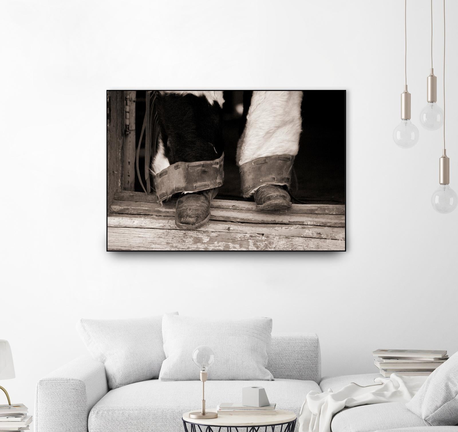 Furry Chaps by Lisa Dearing on GIANT ART - multicolor photography; figurative