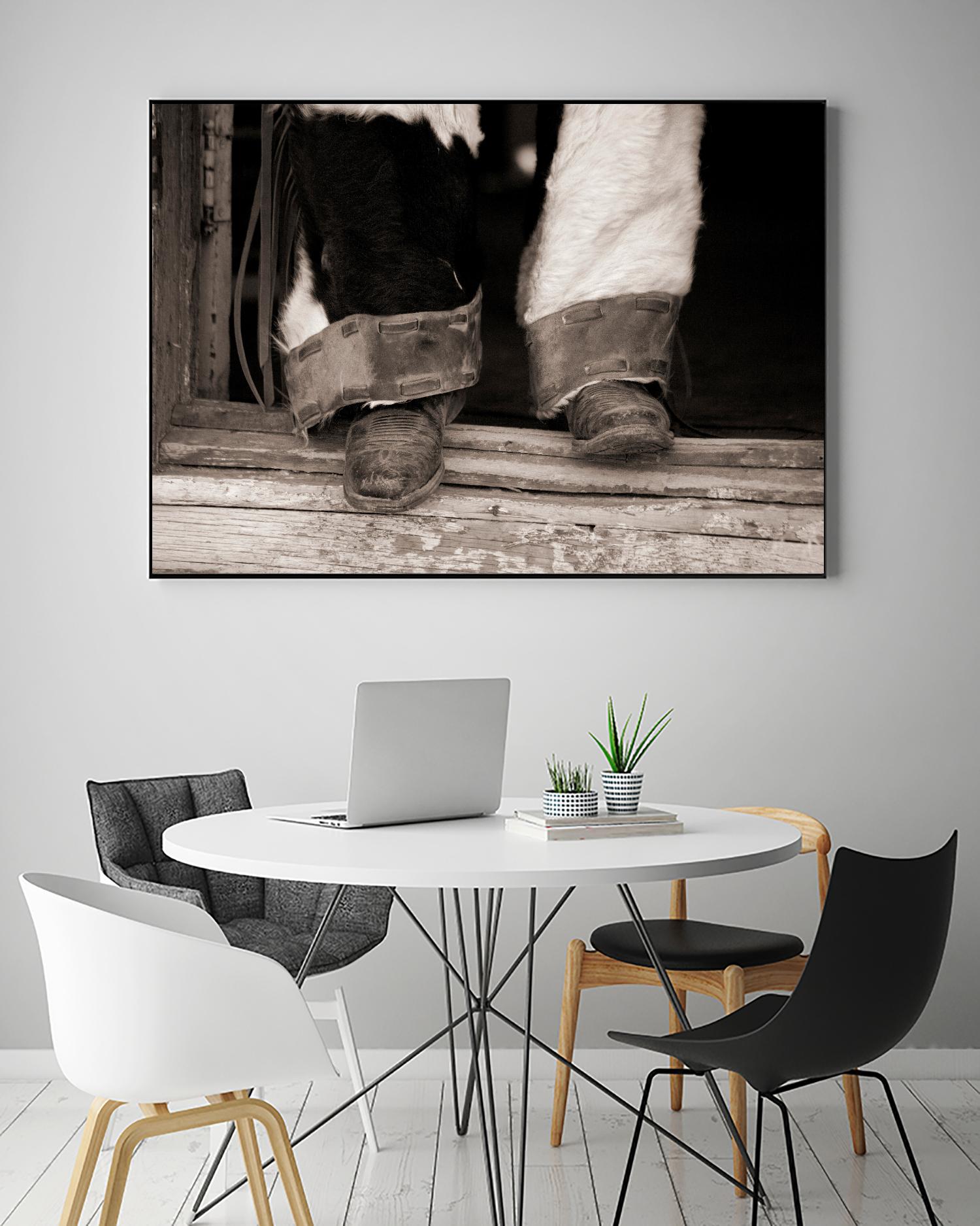 Furry Chaps by Lisa Dearing on GIANT ART - multicolor photography; figurative