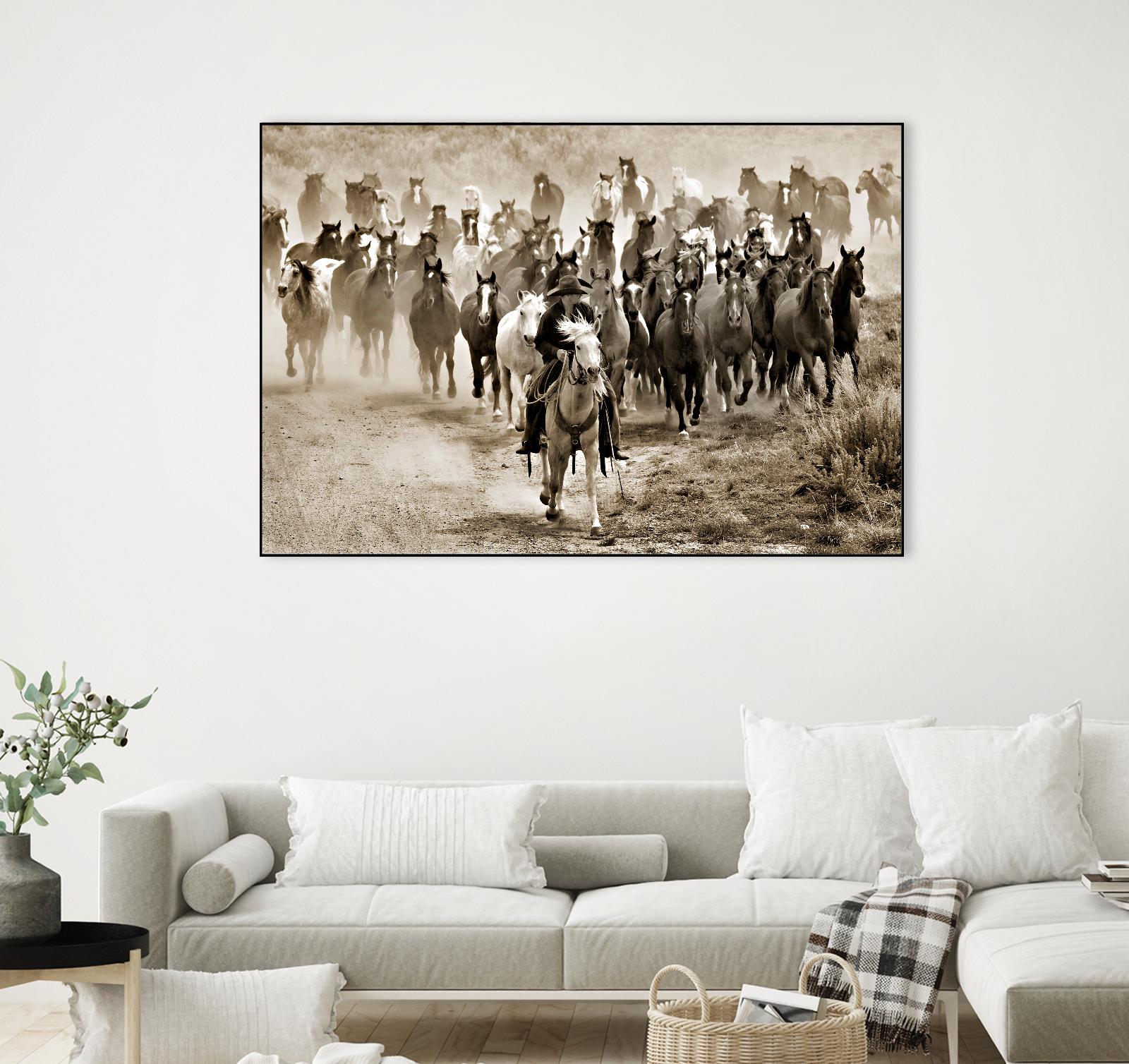 Heading Home by Lisa Dearing on GIANT ART - multicolor photography; animals; figurative