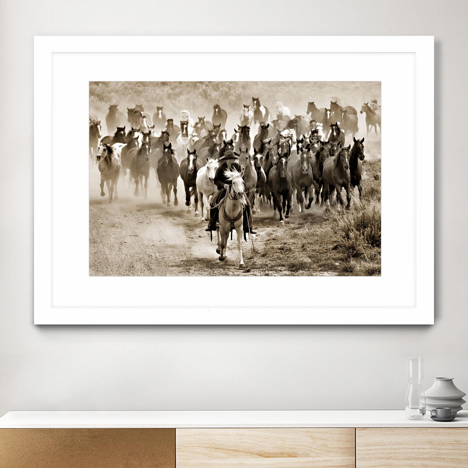 Heading Home by Lisa Dearing on GIANT ART - multicolor photography; animals; figurative