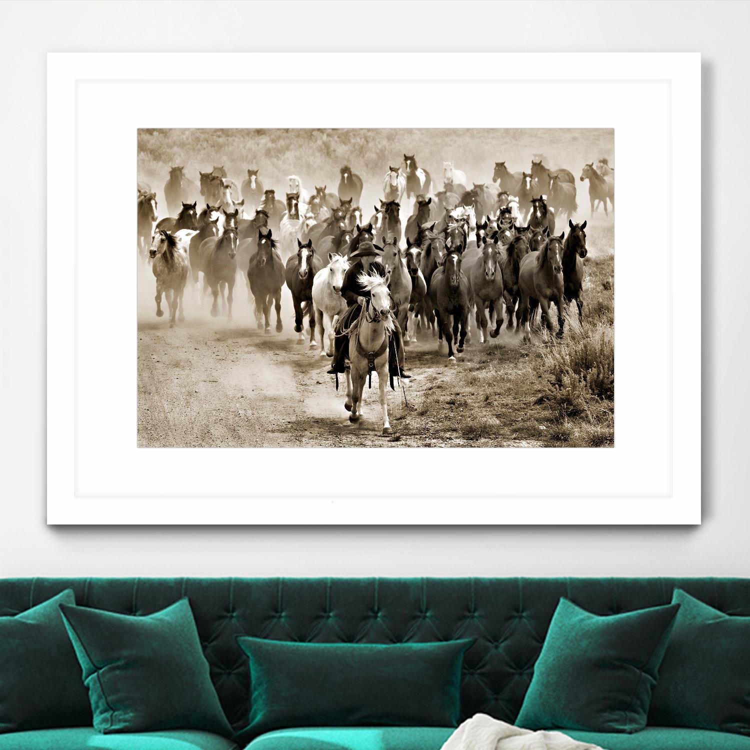 Heading Home by Lisa Dearing on GIANT ART - multicolor photography; animals; figurative