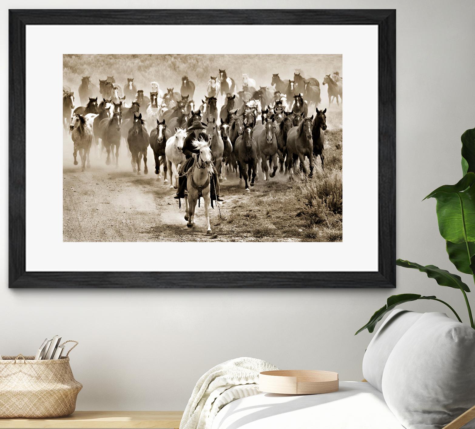 Heading Home by Lisa Dearing on GIANT ART - multicolor photography; animals; figurative