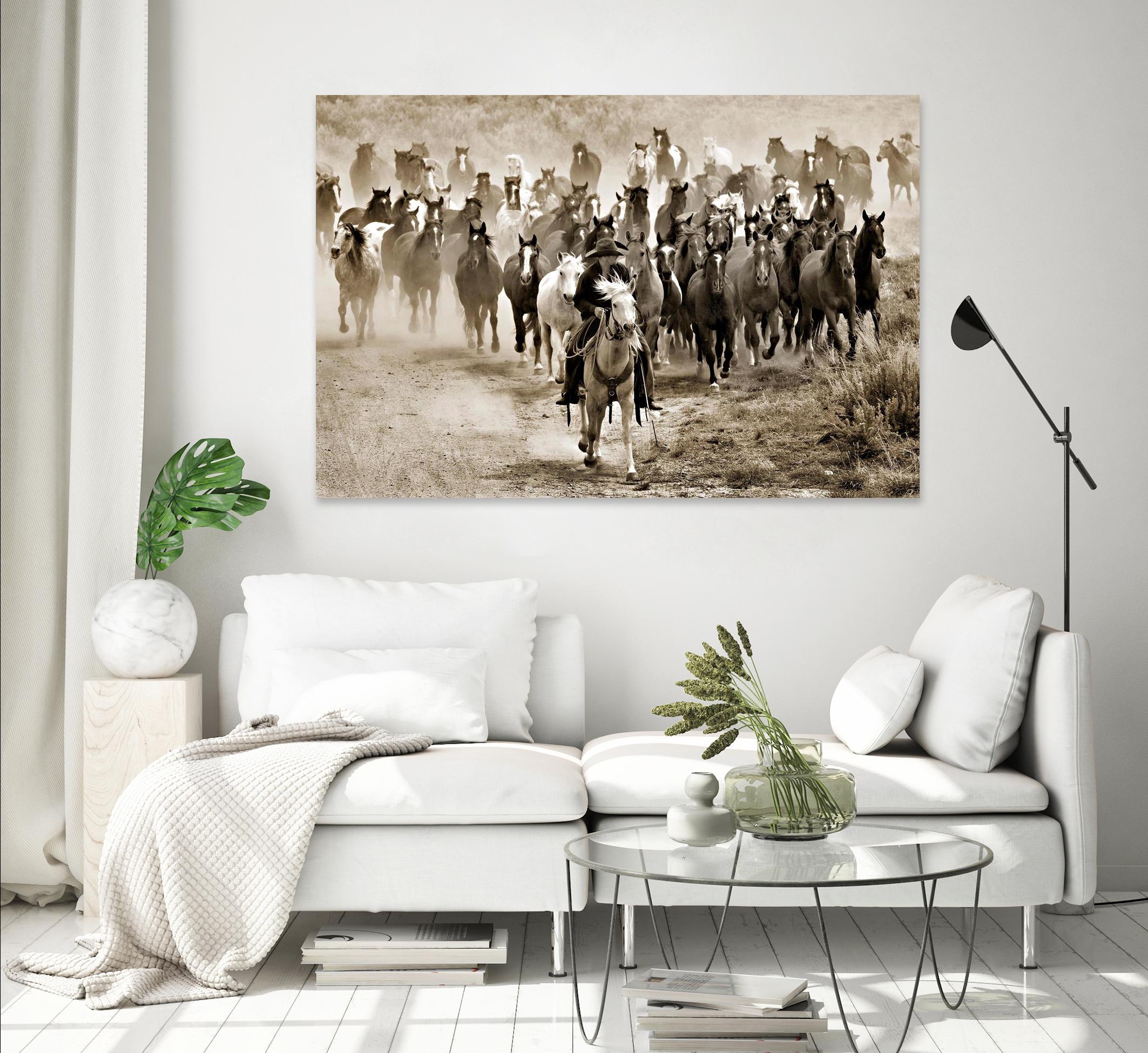 Heading Home by Lisa Dearing on GIANT ART - multicolor photography; animals; figurative