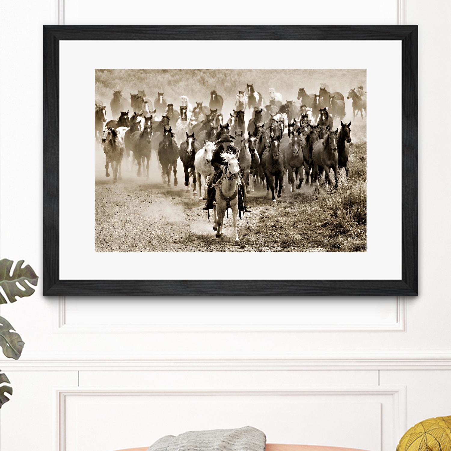 Heading Home by Lisa Dearing on GIANT ART - multicolor photography; animals; figurative