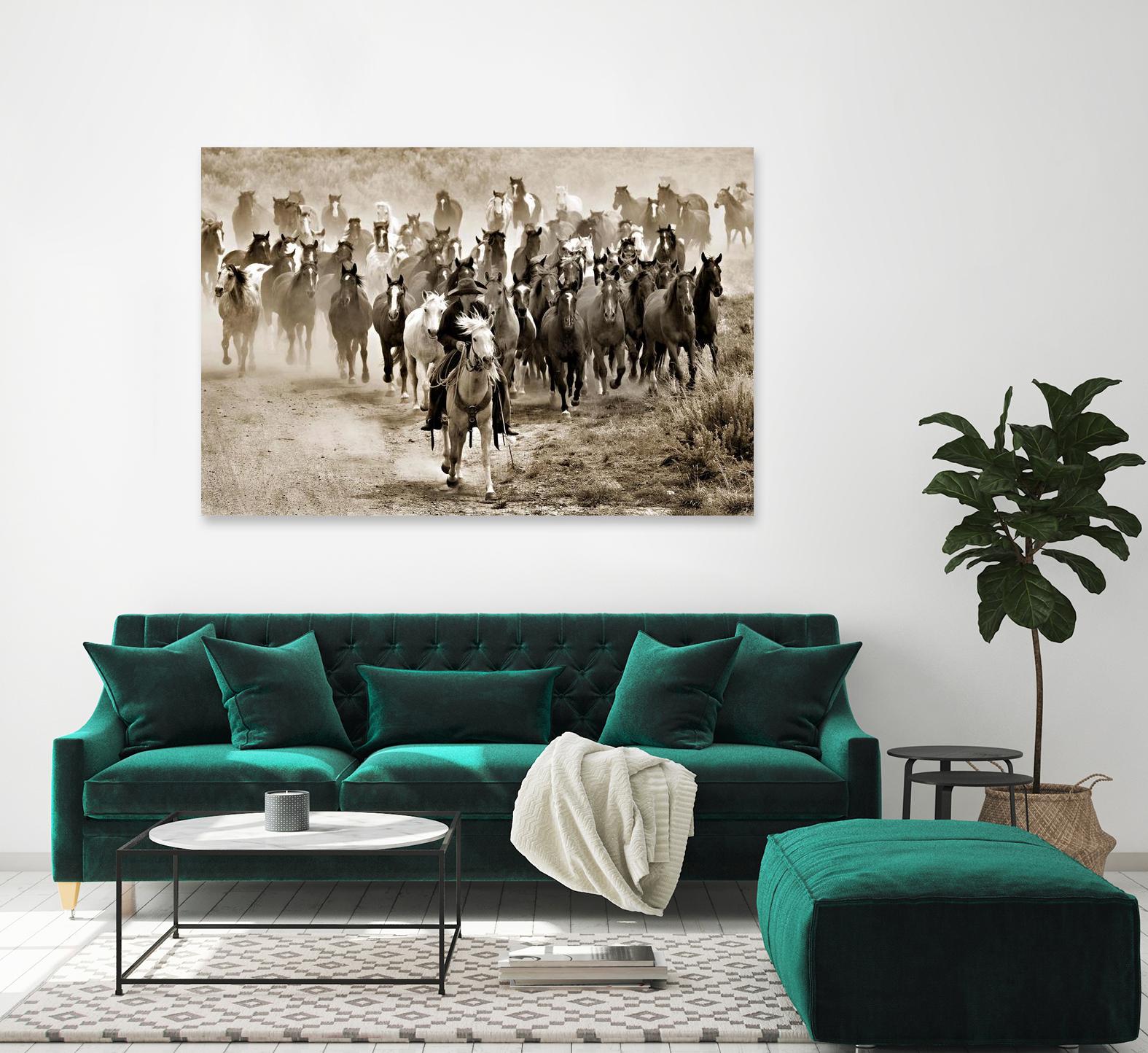 Heading Home by Lisa Dearing on GIANT ART - multicolor photography; animals; figurative